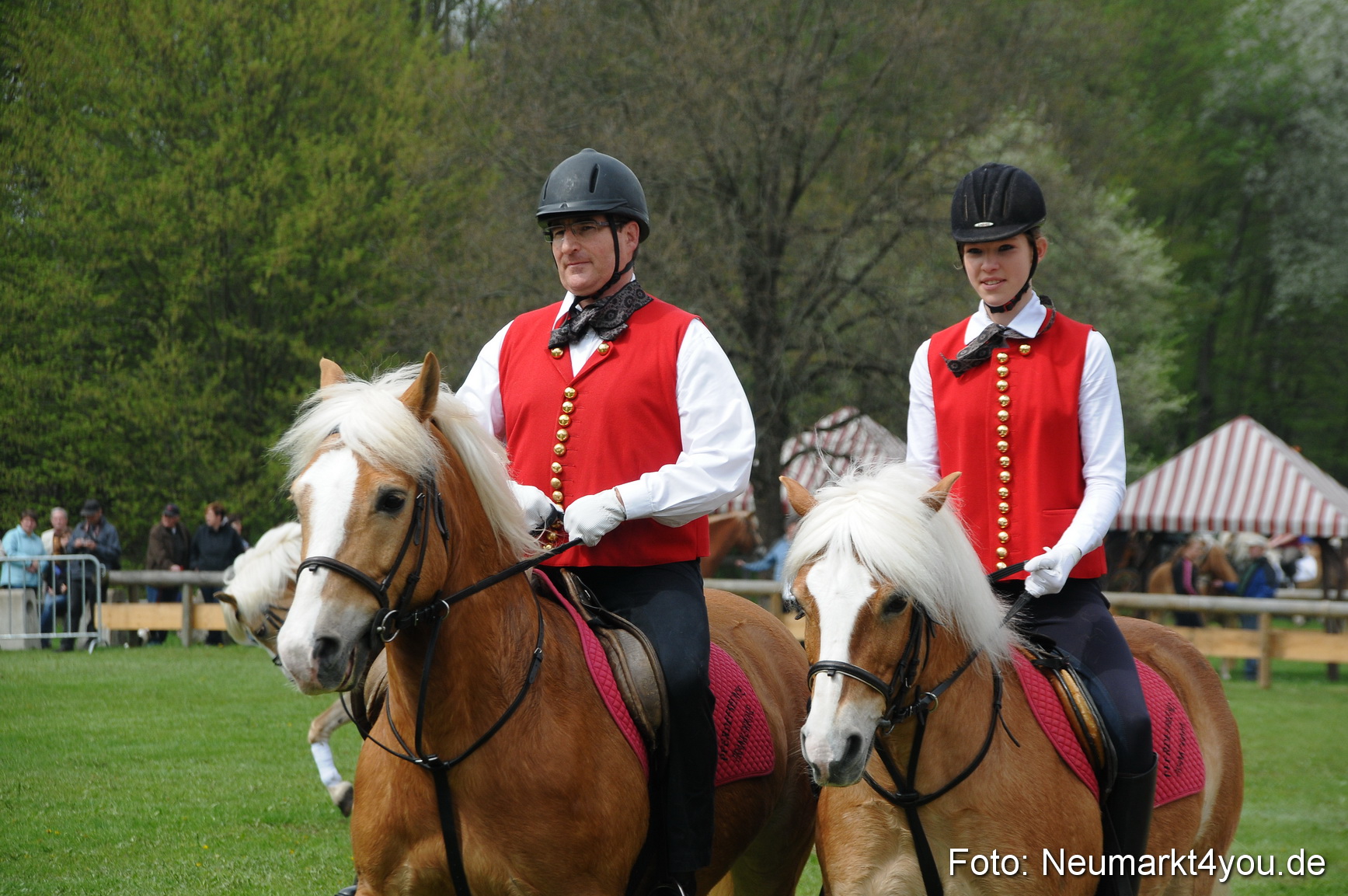 Haflingertreffen Neumarkt 010513 0060