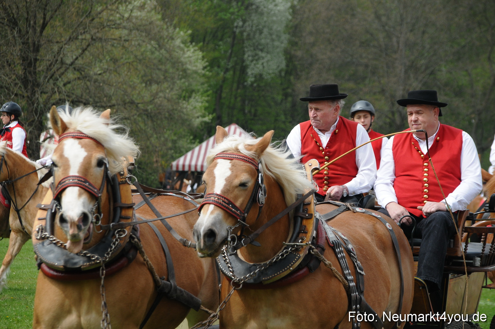 Haflingertreffen Neumarkt 010513 0061