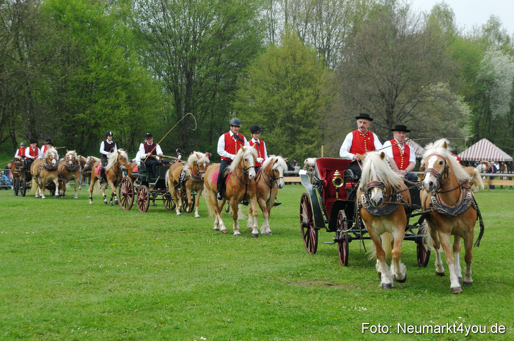 Haflingertreffen Neumarkt 010513 0063