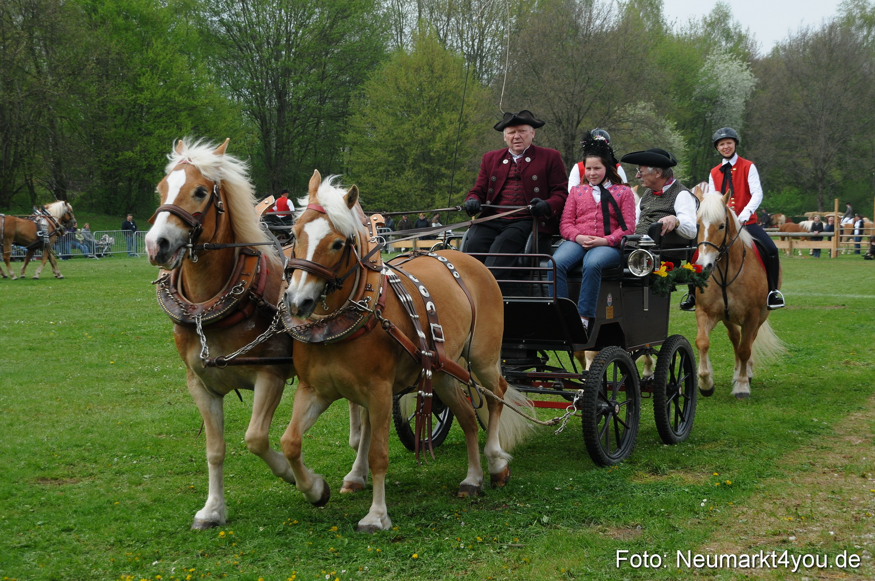 Haflingertreffen Neumarkt 010513 0064