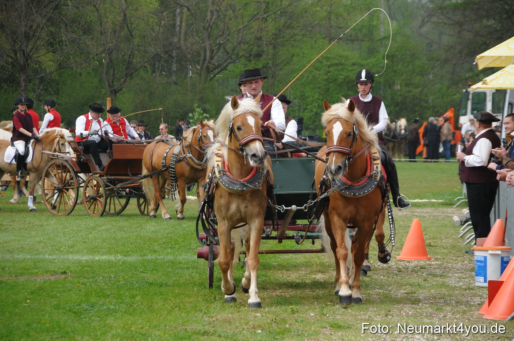 Haflingertreffen Neumarkt 010513 0065
