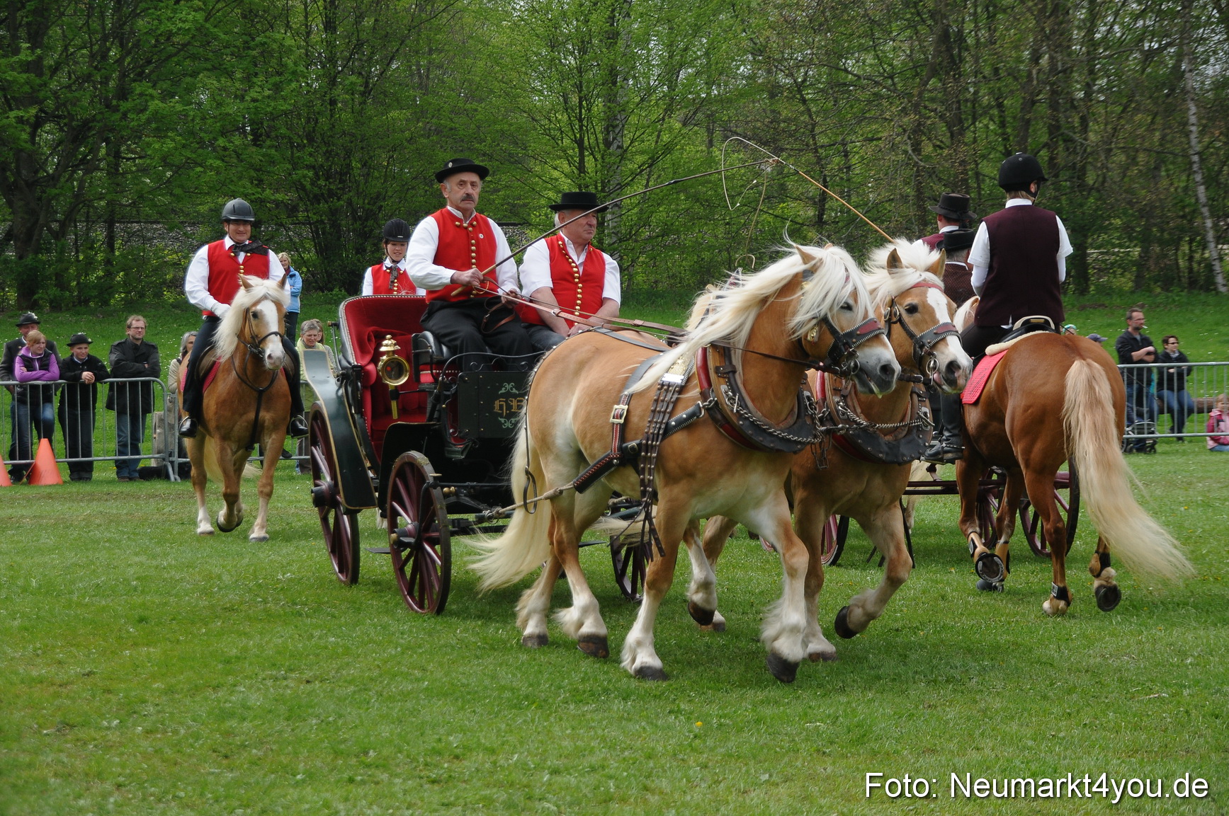 Haflingertreffen Neumarkt 010513 0066