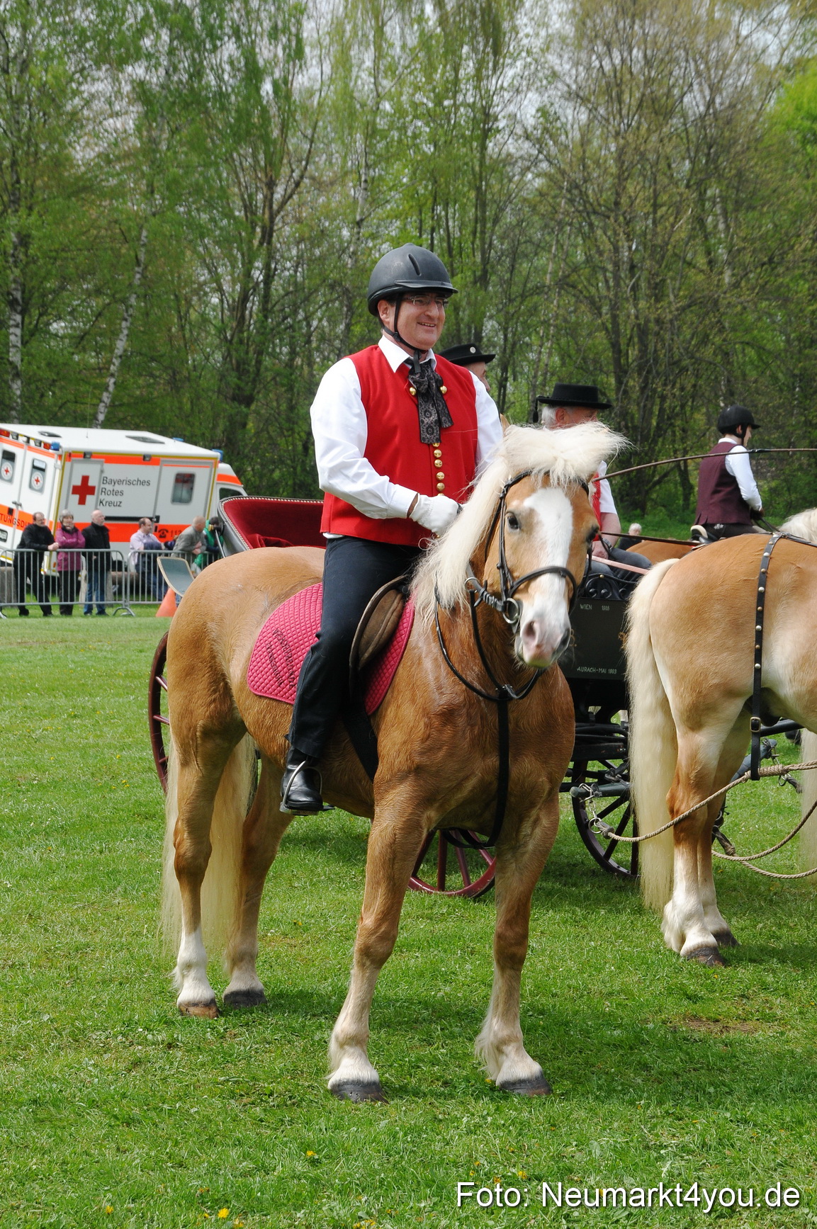 Haflingertreffen Neumarkt 010513 0068