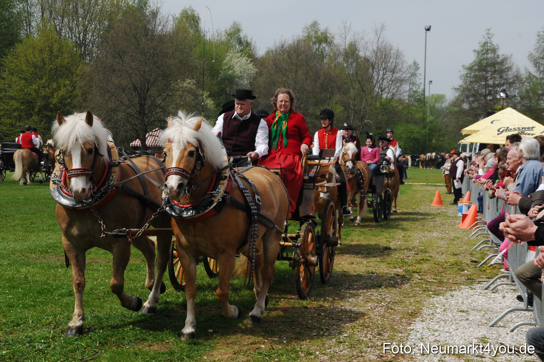 Haflingertreffen Neumarkt 010513 0072