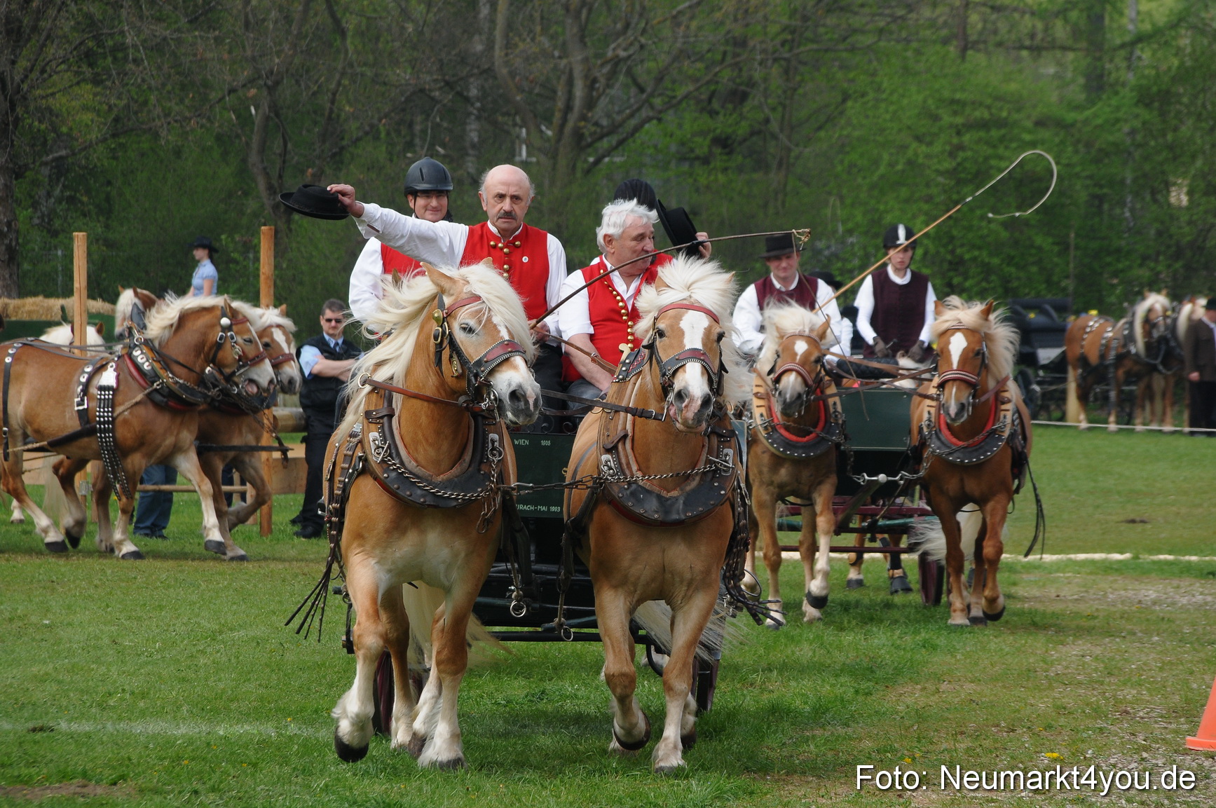 Haflingertreffen Neumarkt 010513 0073