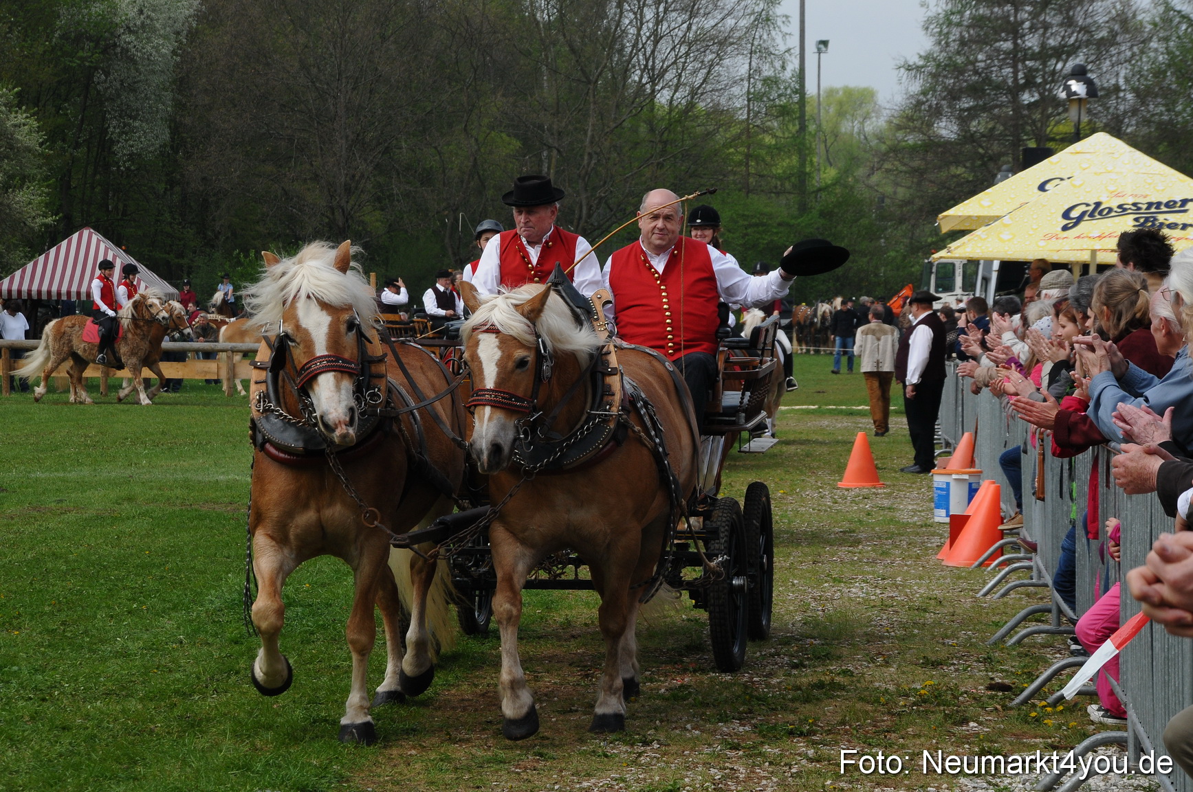 Haflingertreffen Neumarkt 010513 0074
