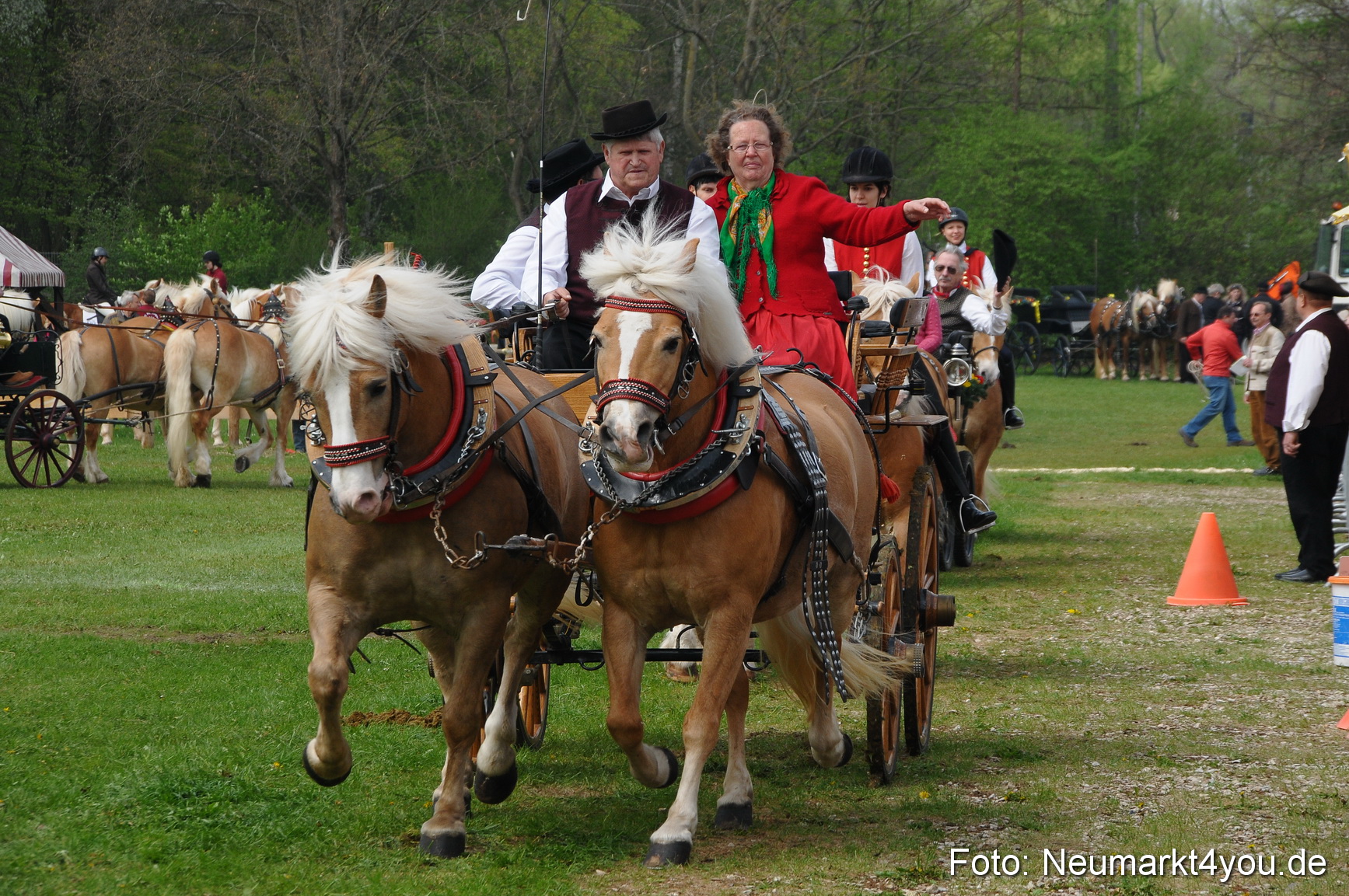 Haflingertreffen Neumarkt 010513 0075
