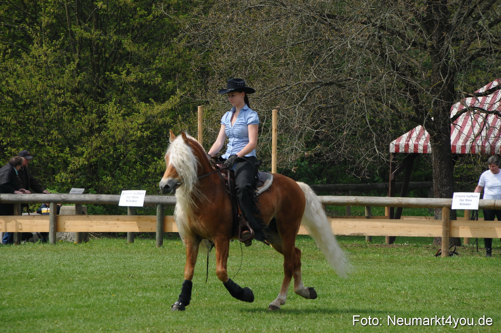 Haflingertreffen Neumarkt 010513 0088