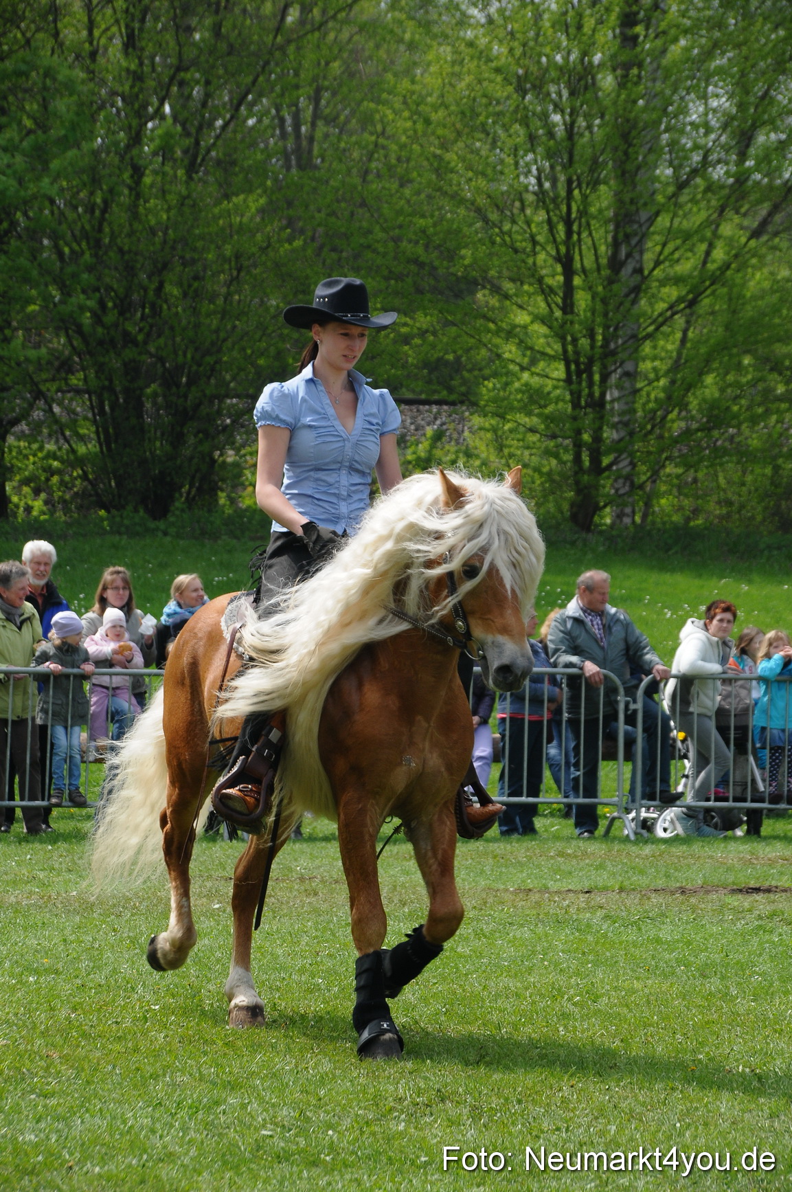 Haflingertreffen Neumarkt 010513 0091
