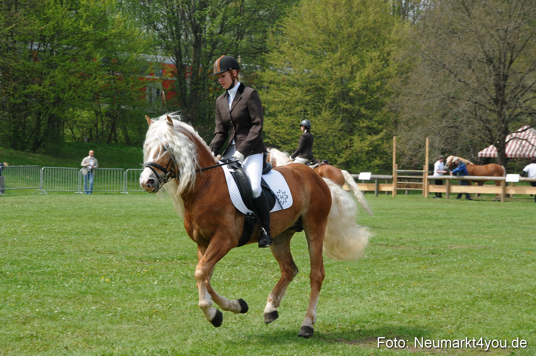 Haflingertreffen Neumarkt 010513 0092