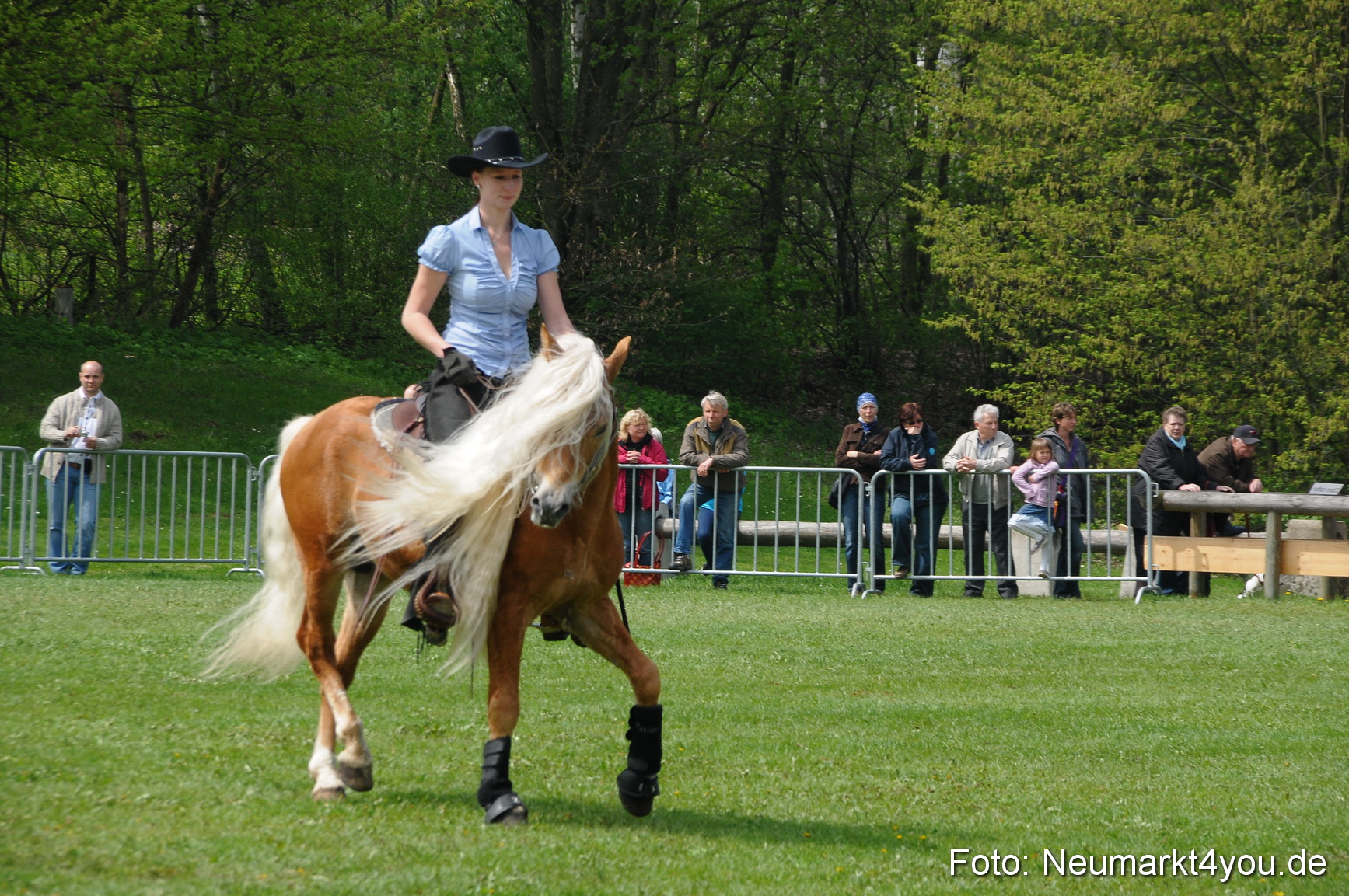 Haflingertreffen Neumarkt 010513 0094