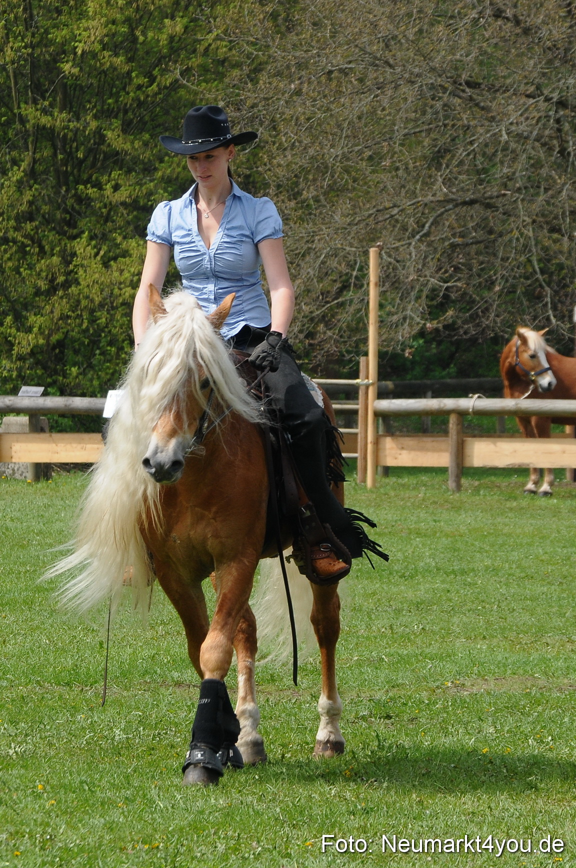 Haflingertreffen Neumarkt 010513 0095