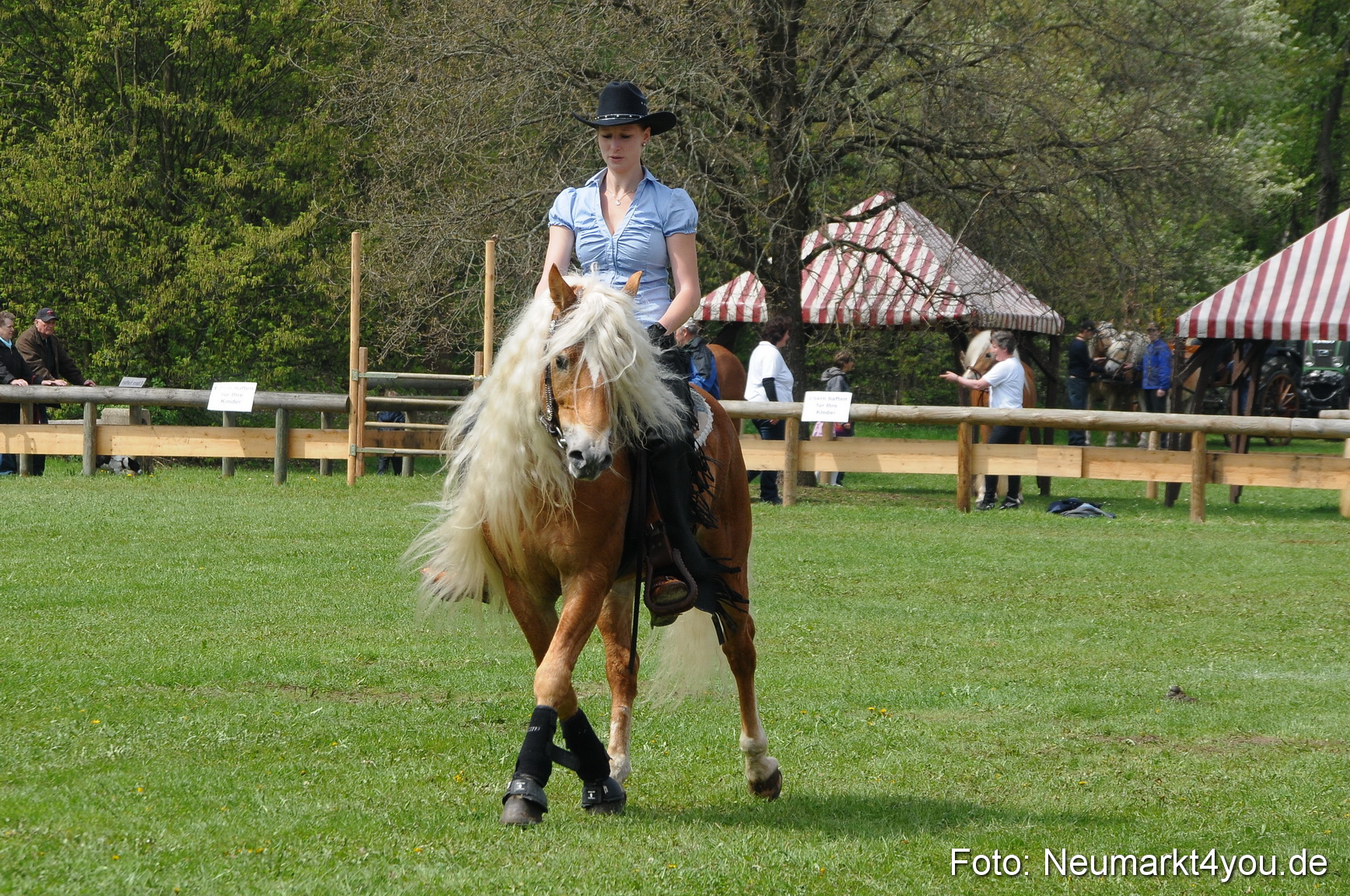 Haflingertreffen Neumarkt 010513 0097