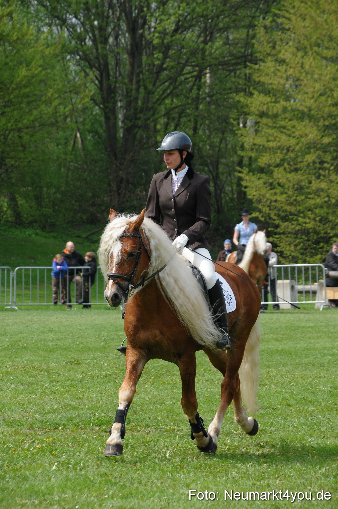 Haflingertreffen Neumarkt 010513 0098