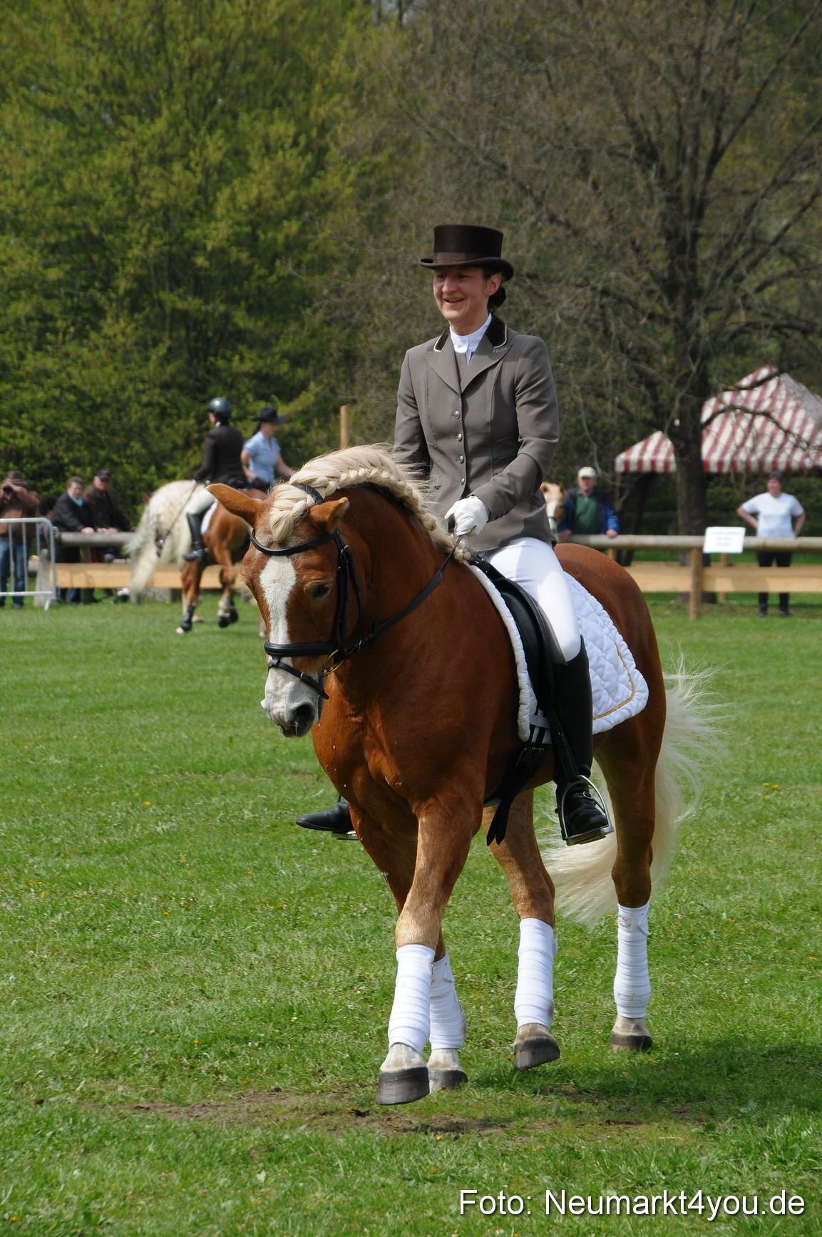 Haflingertreffen Neumarkt 010513 0100