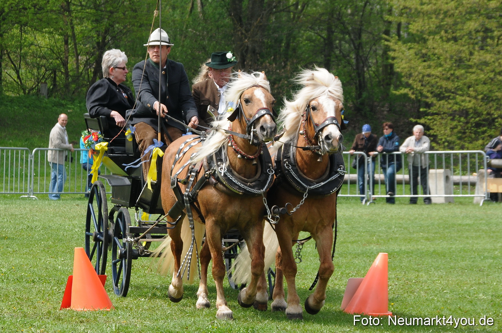 Haflingertreffen Neumarkt 010513 0101