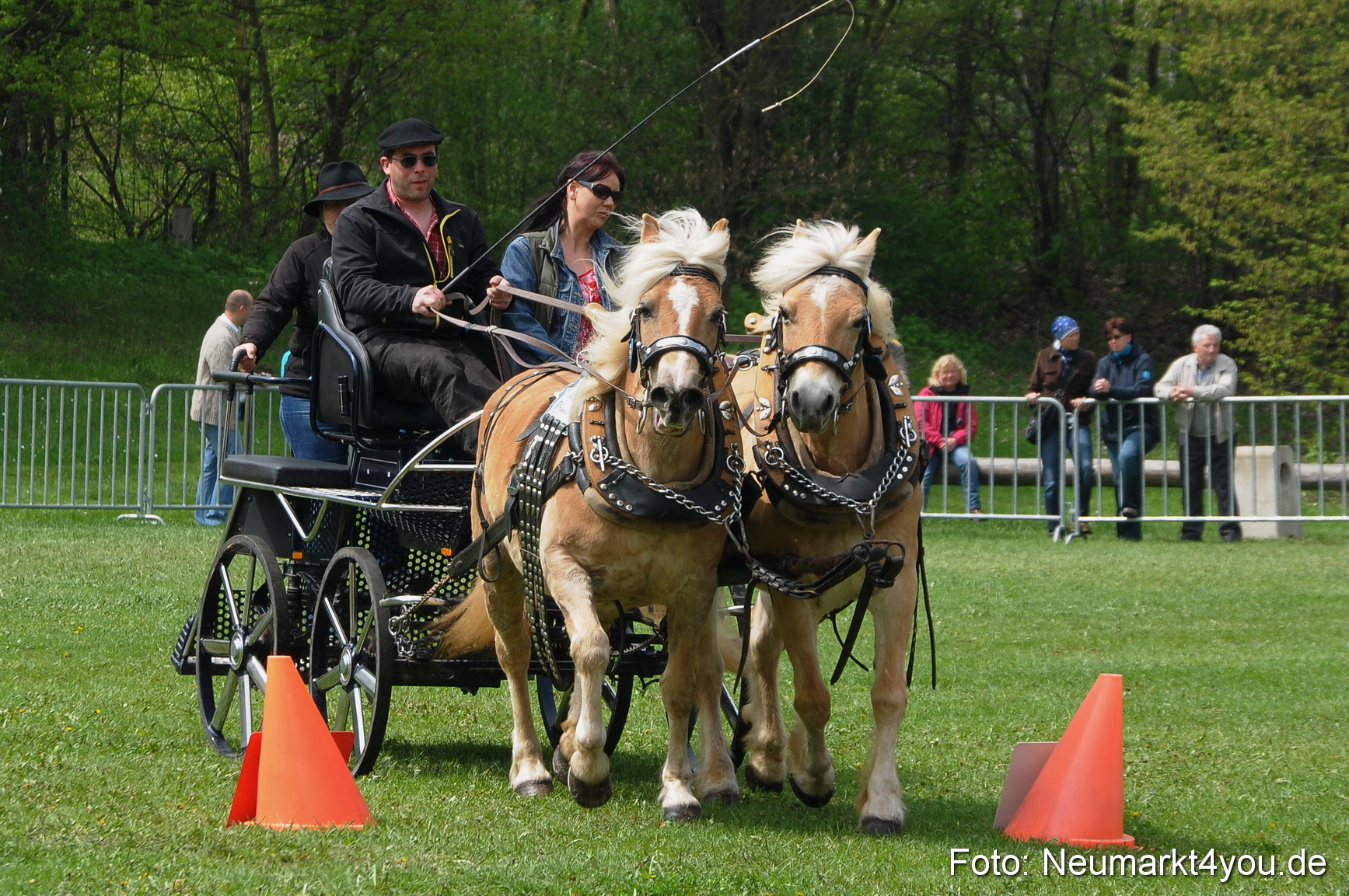 Haflingertreffen Neumarkt 010513 0102