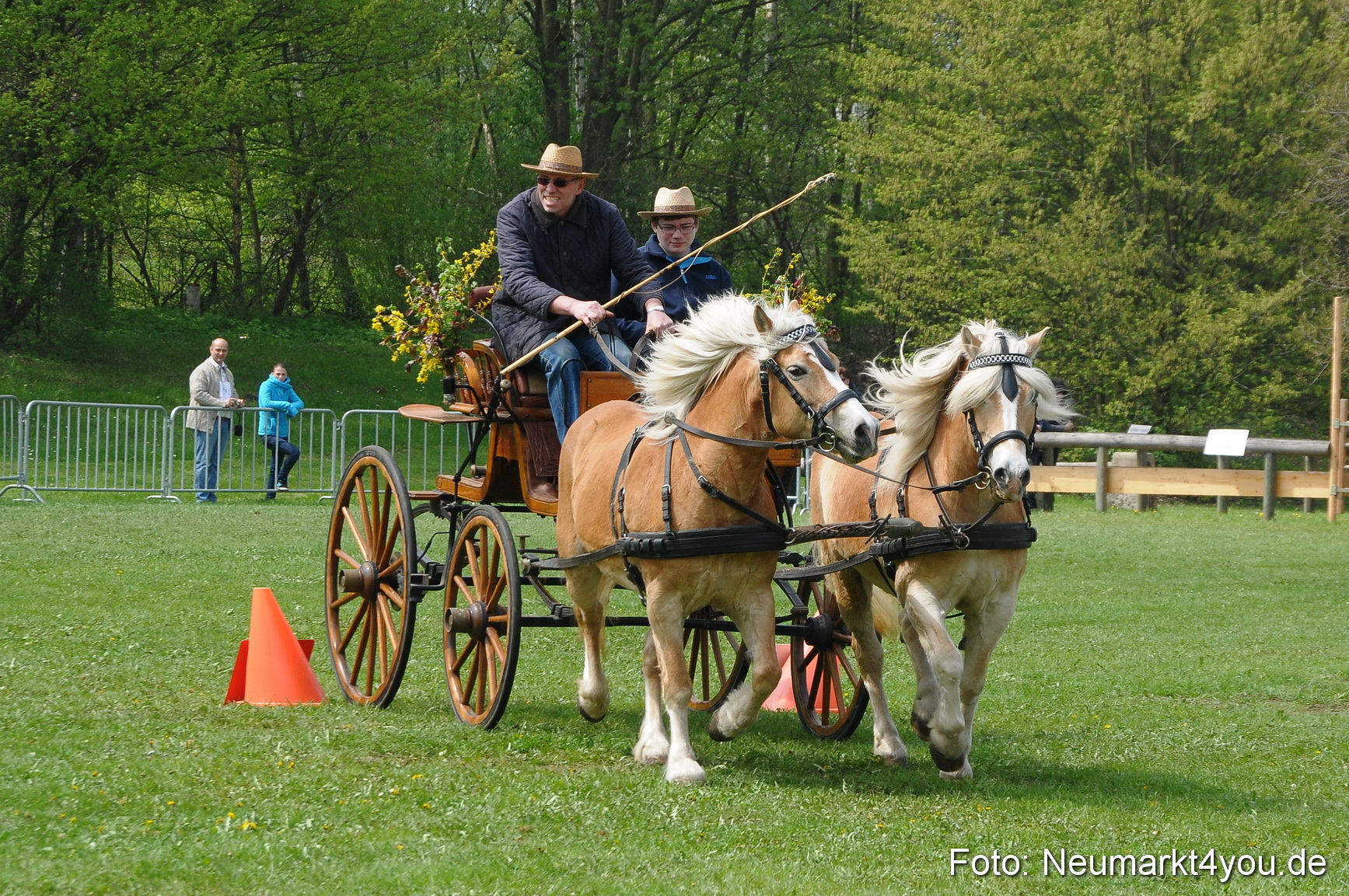 Haflingertreffen Neumarkt 010513 0106