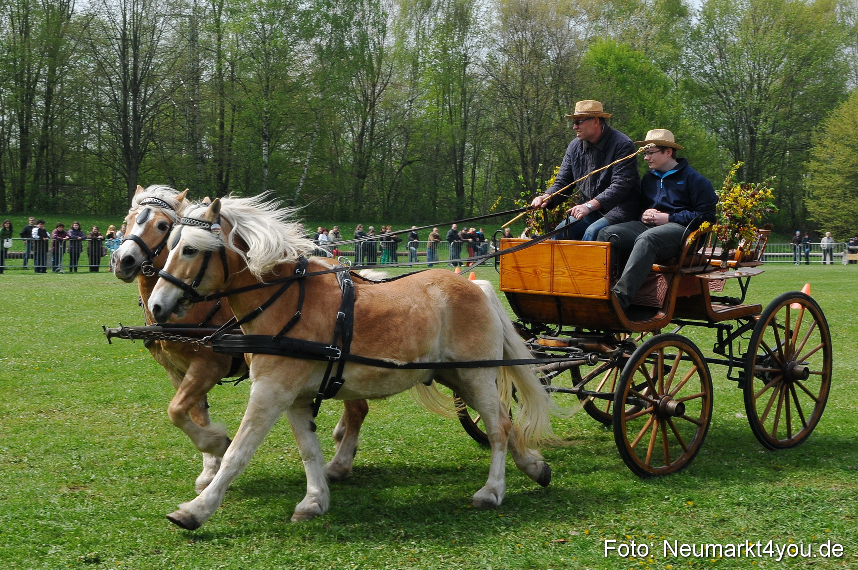 Haflingertreffen Neumarkt 010513 0107