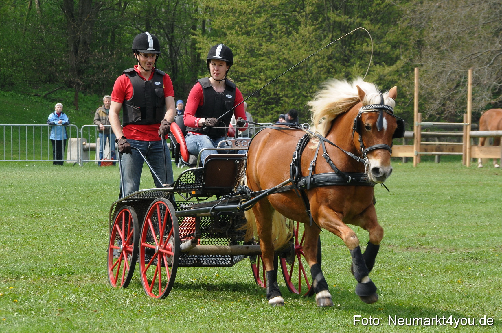Haflingertreffen Neumarkt 010513 0108