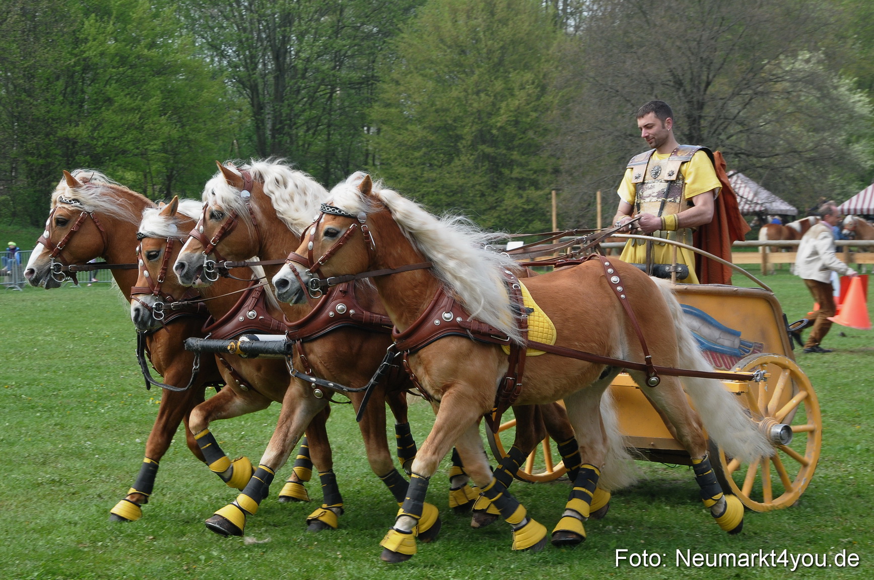 Haflingertreffen Neumarkt 010513 0111