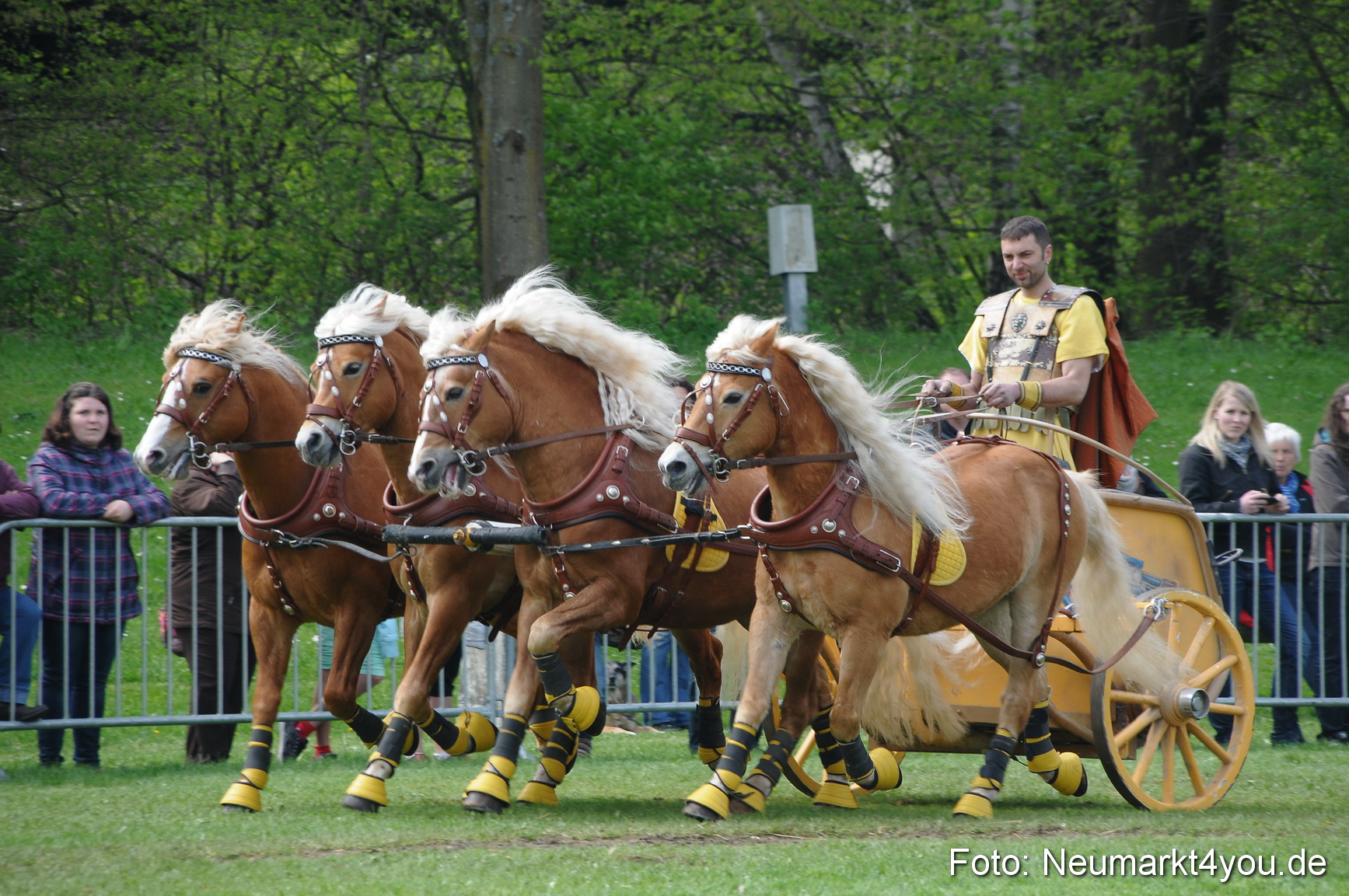 Haflingertreffen Neumarkt 010513 0112