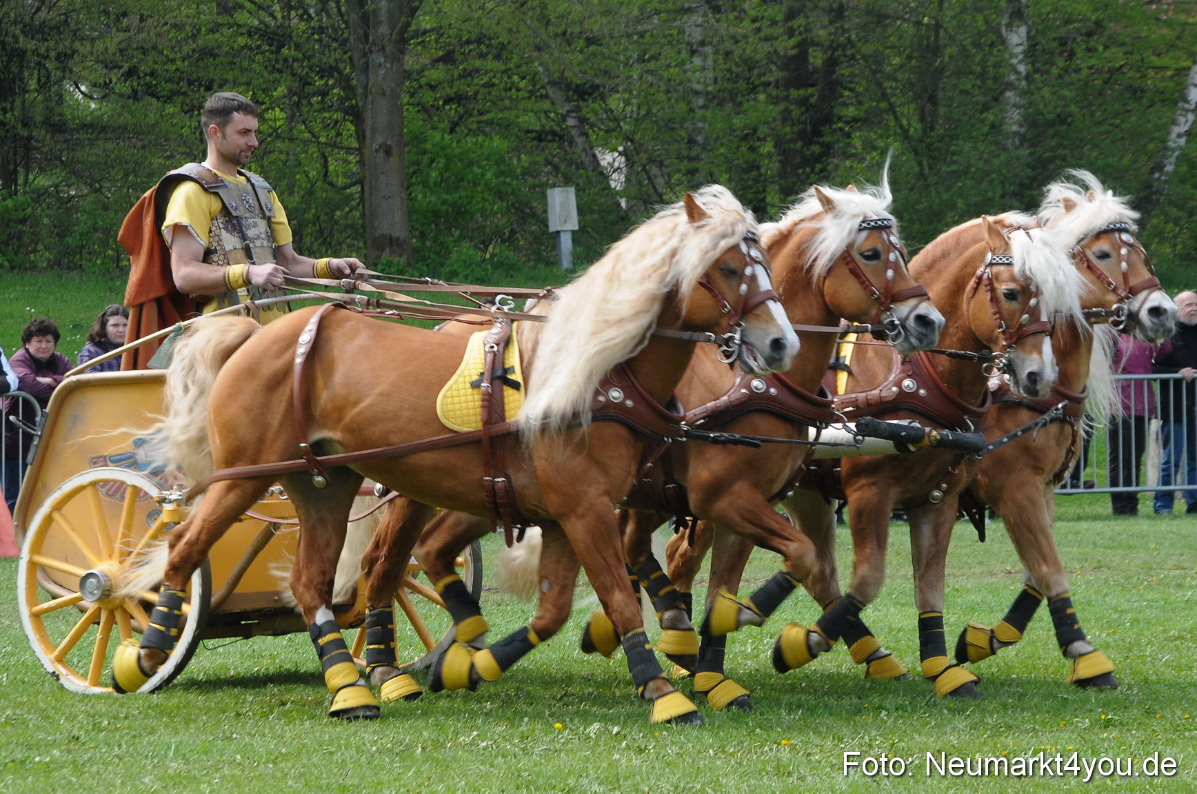 Haflingertreffen Neumarkt 010513 0115