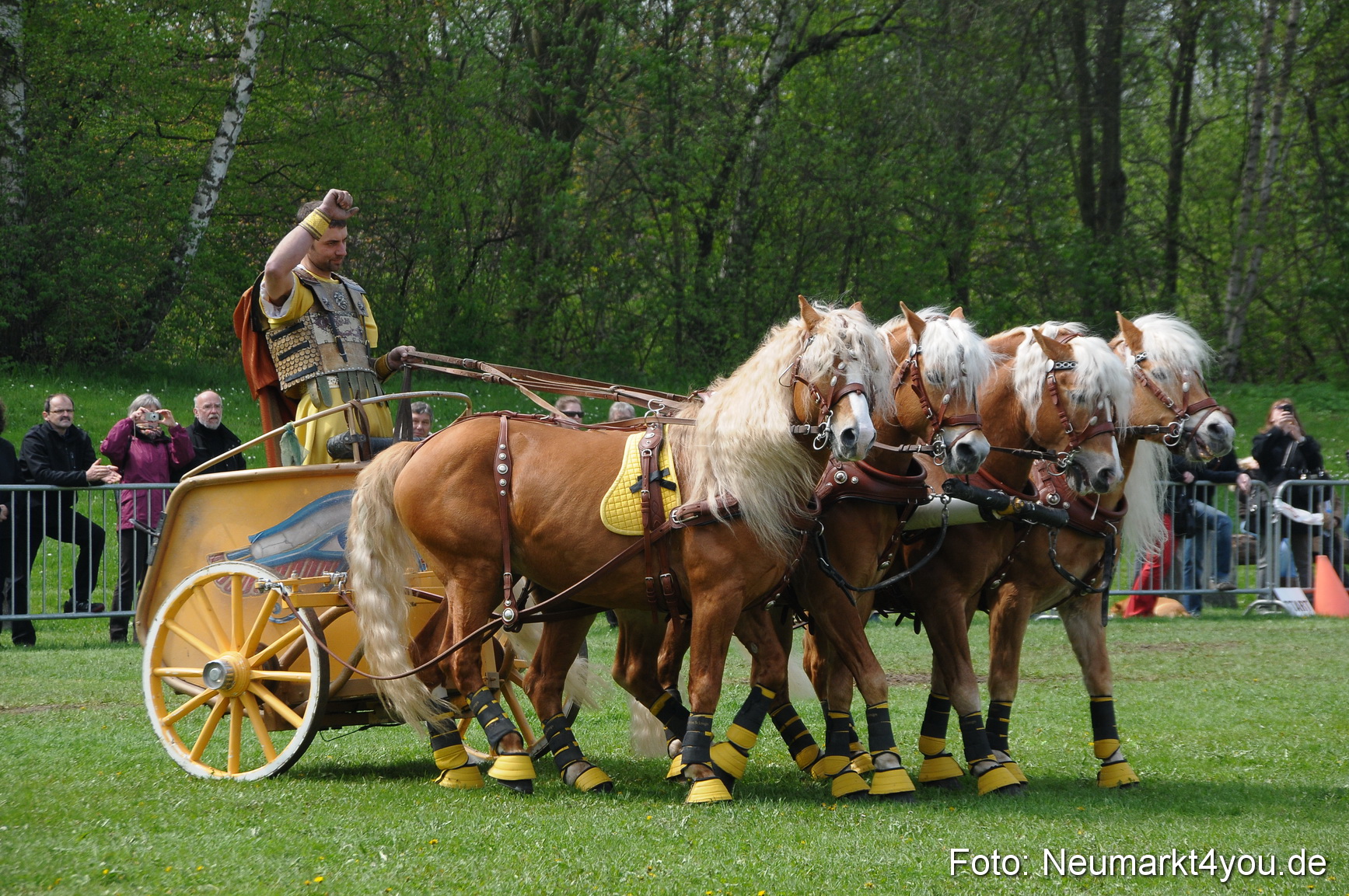 Haflingertreffen Neumarkt 010513 0116