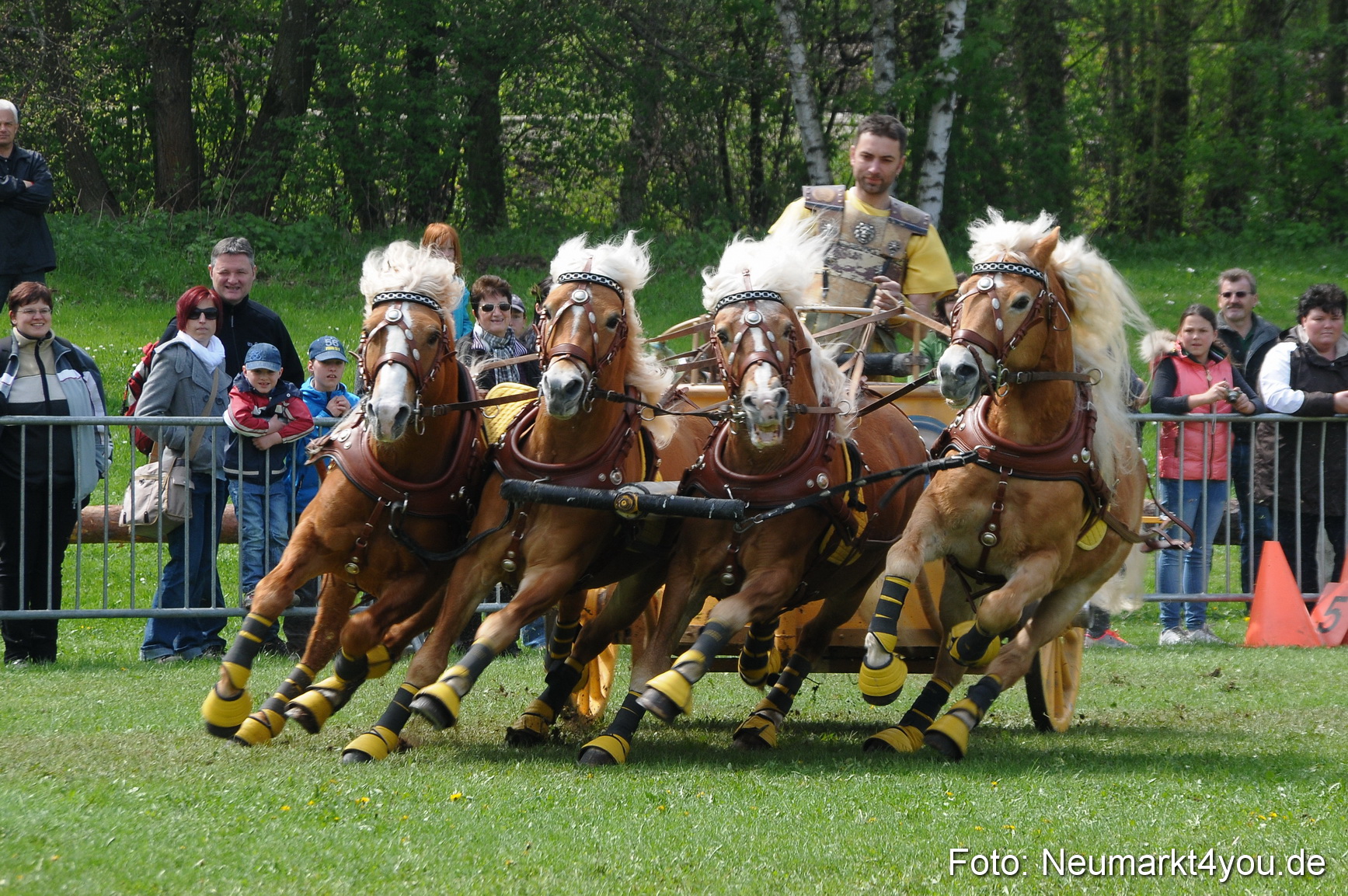 Haflingertreffen Neumarkt 010513 0118