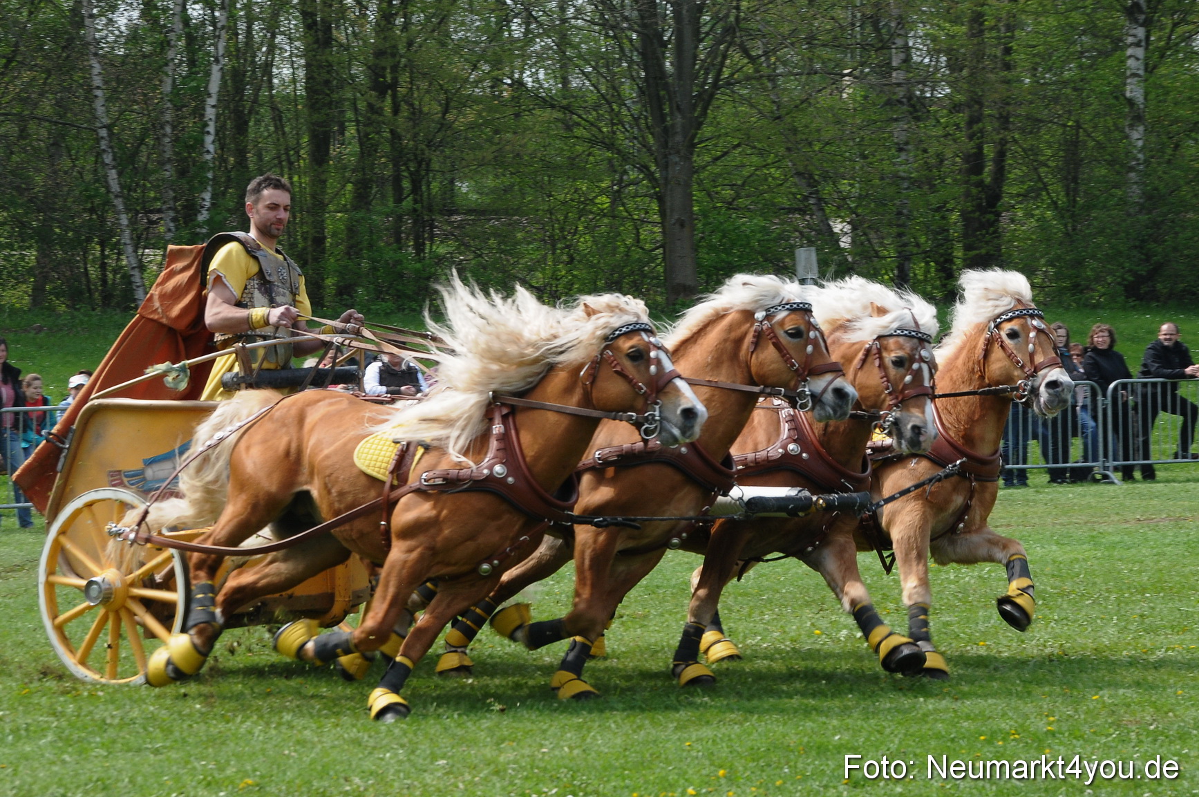 Haflingertreffen Neumarkt 010513 0120