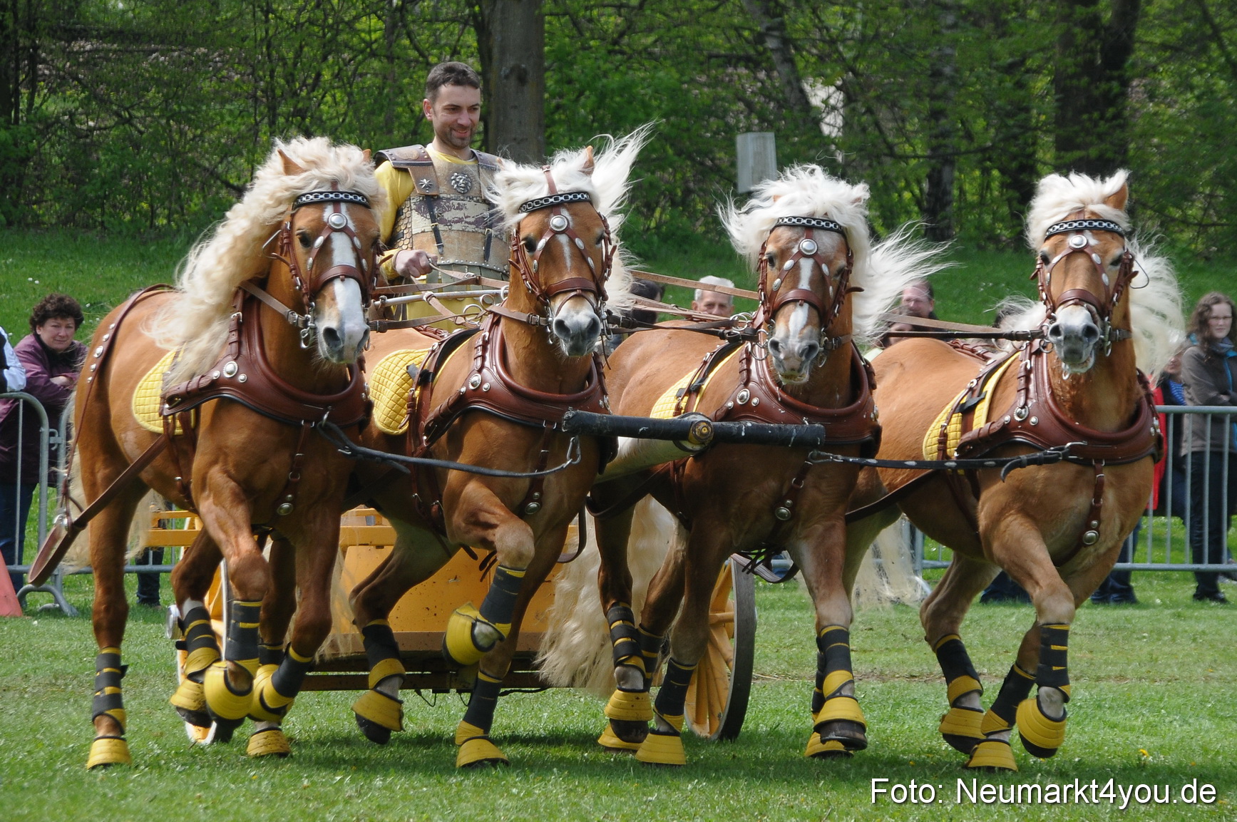 Haflingertreffen Neumarkt 010513 0123