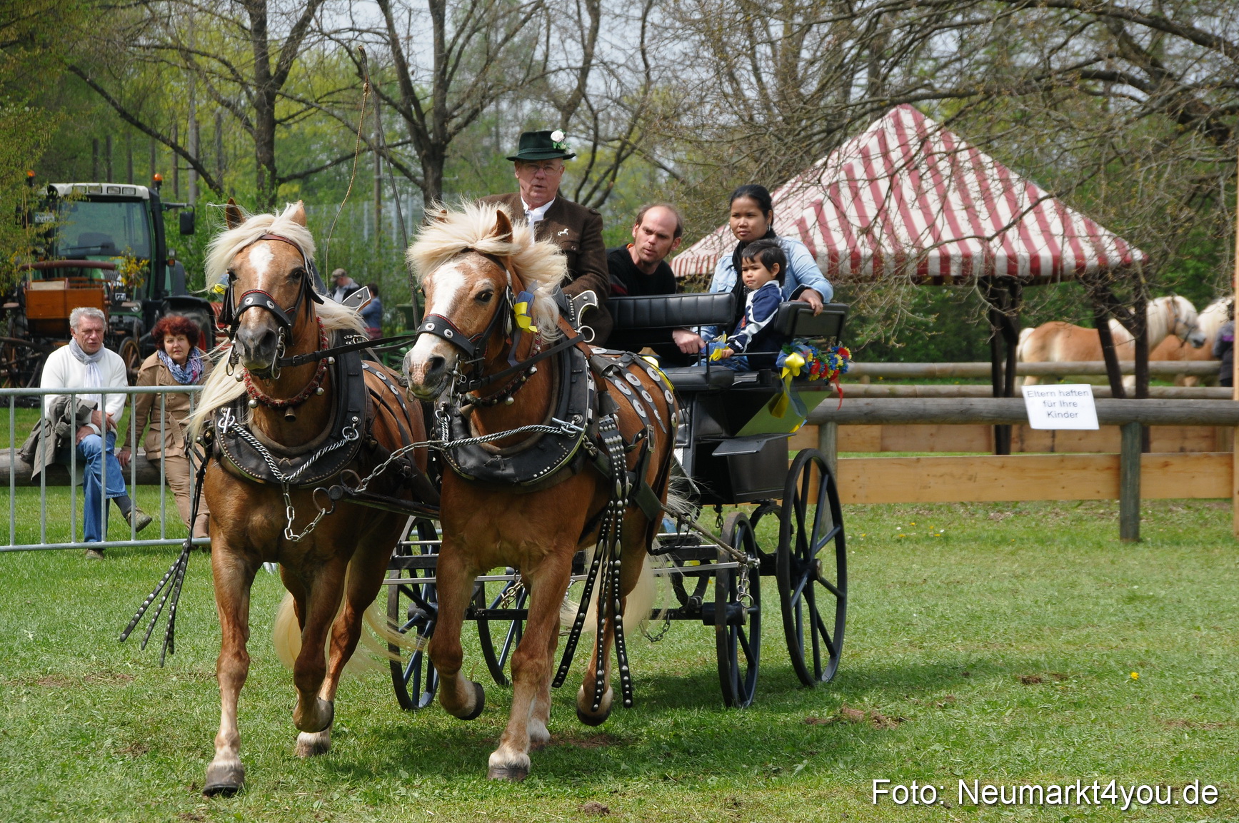 Haflingertreffen Neumarkt 010513 0127