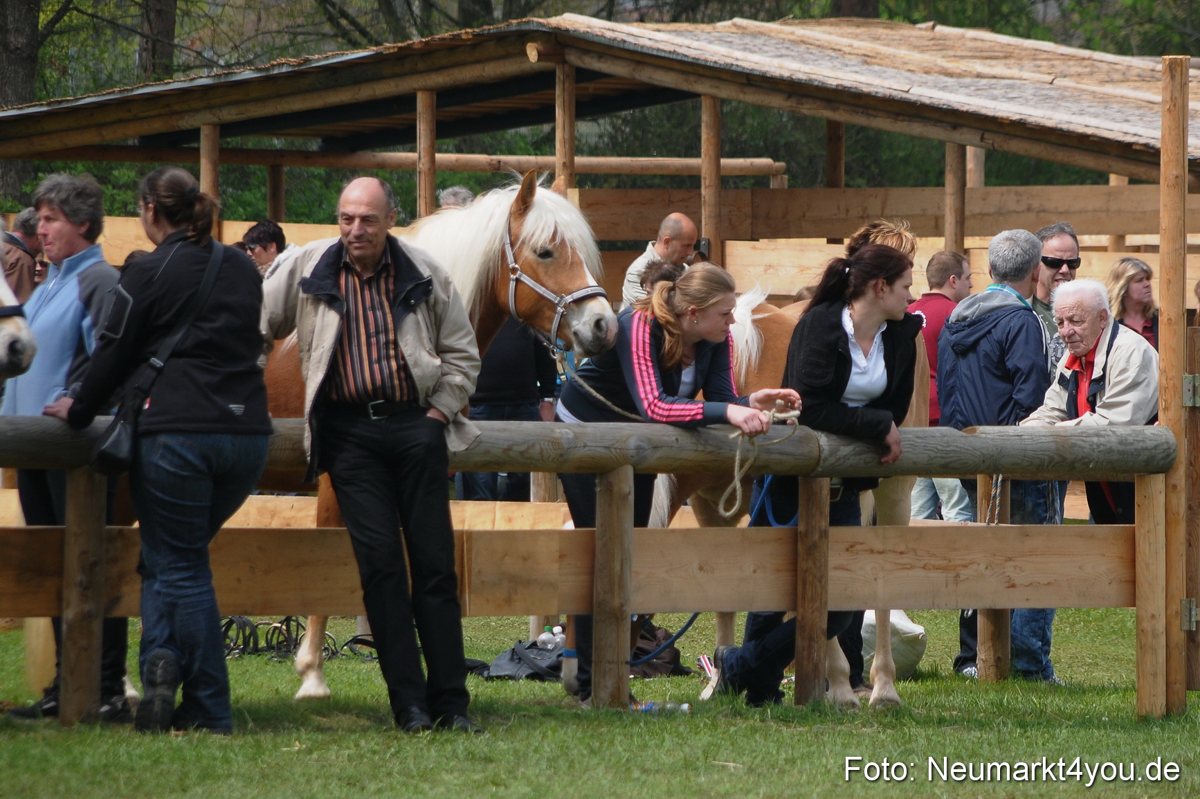 Haflingertreffen Neumarkt 010513 0136