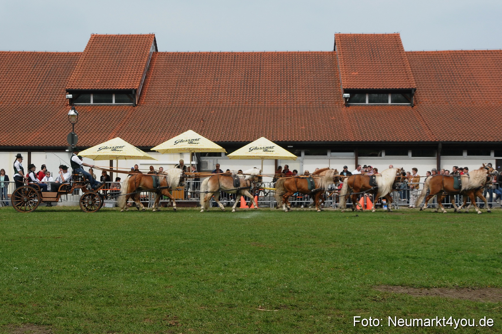 Haflingertreffen Neumarkt 010513 0142