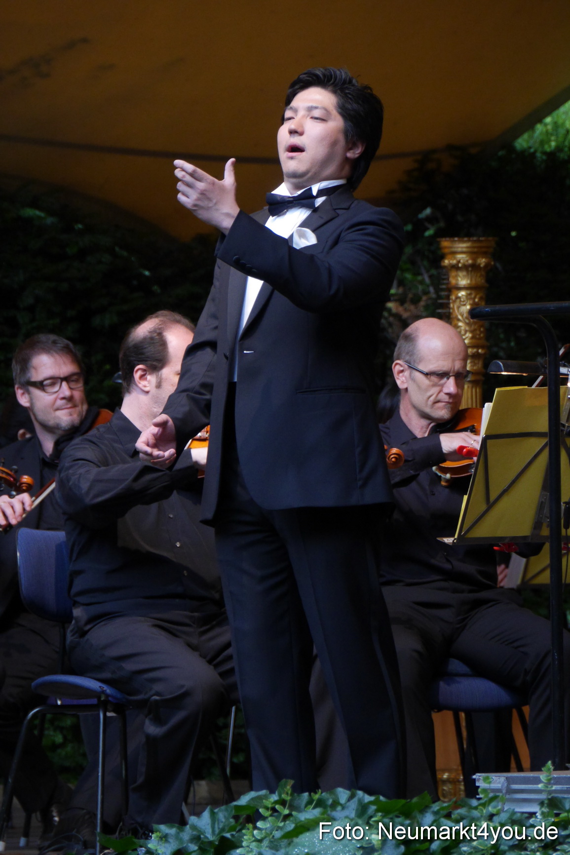 IMA Serenadenhof Nuernberg 240713 0007