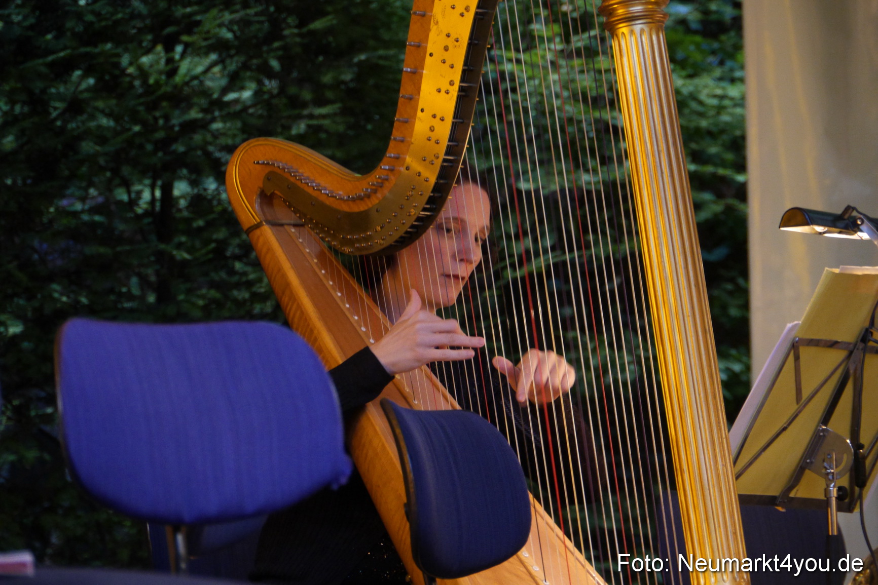 IMA Serenadenhof Nuernberg 240713 0014