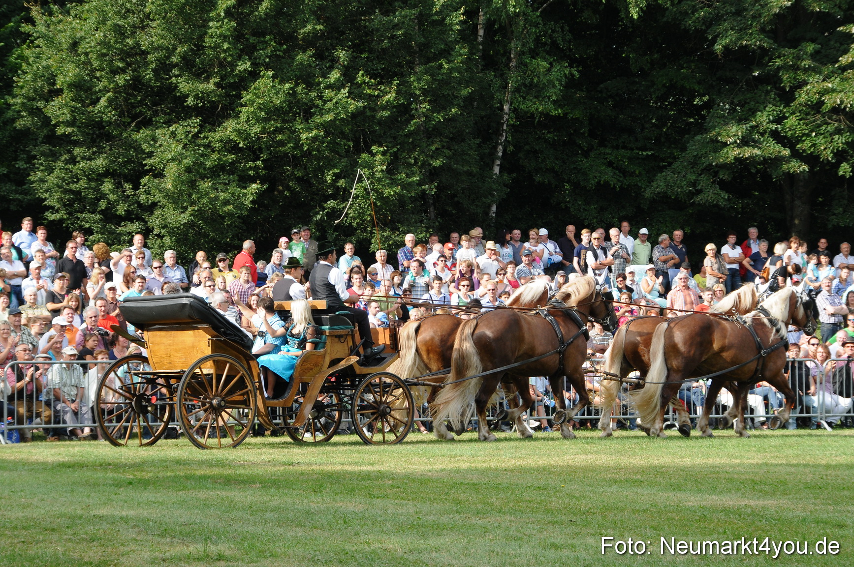 Pferde und Fohlenschau 190813 0005