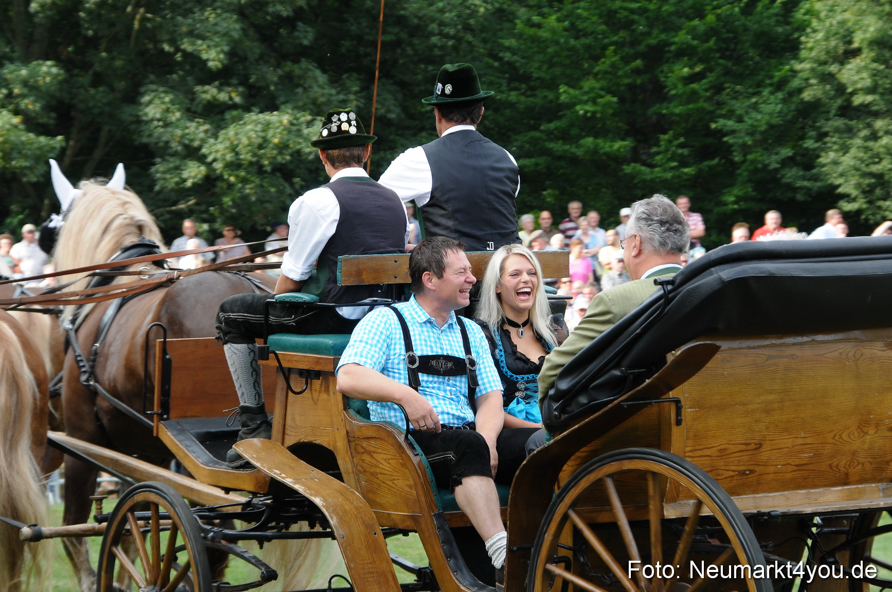 Pferde und Fohlenschau 190813 0006