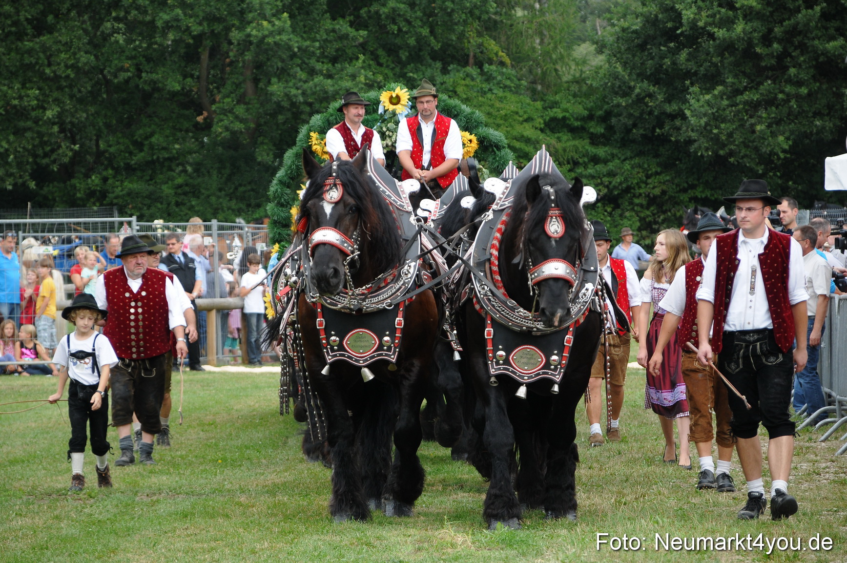 Pferde und Fohlenschau 190813 0009