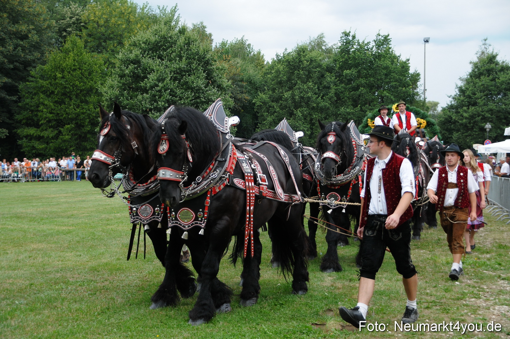 Pferde und Fohlenschau 190813 0010