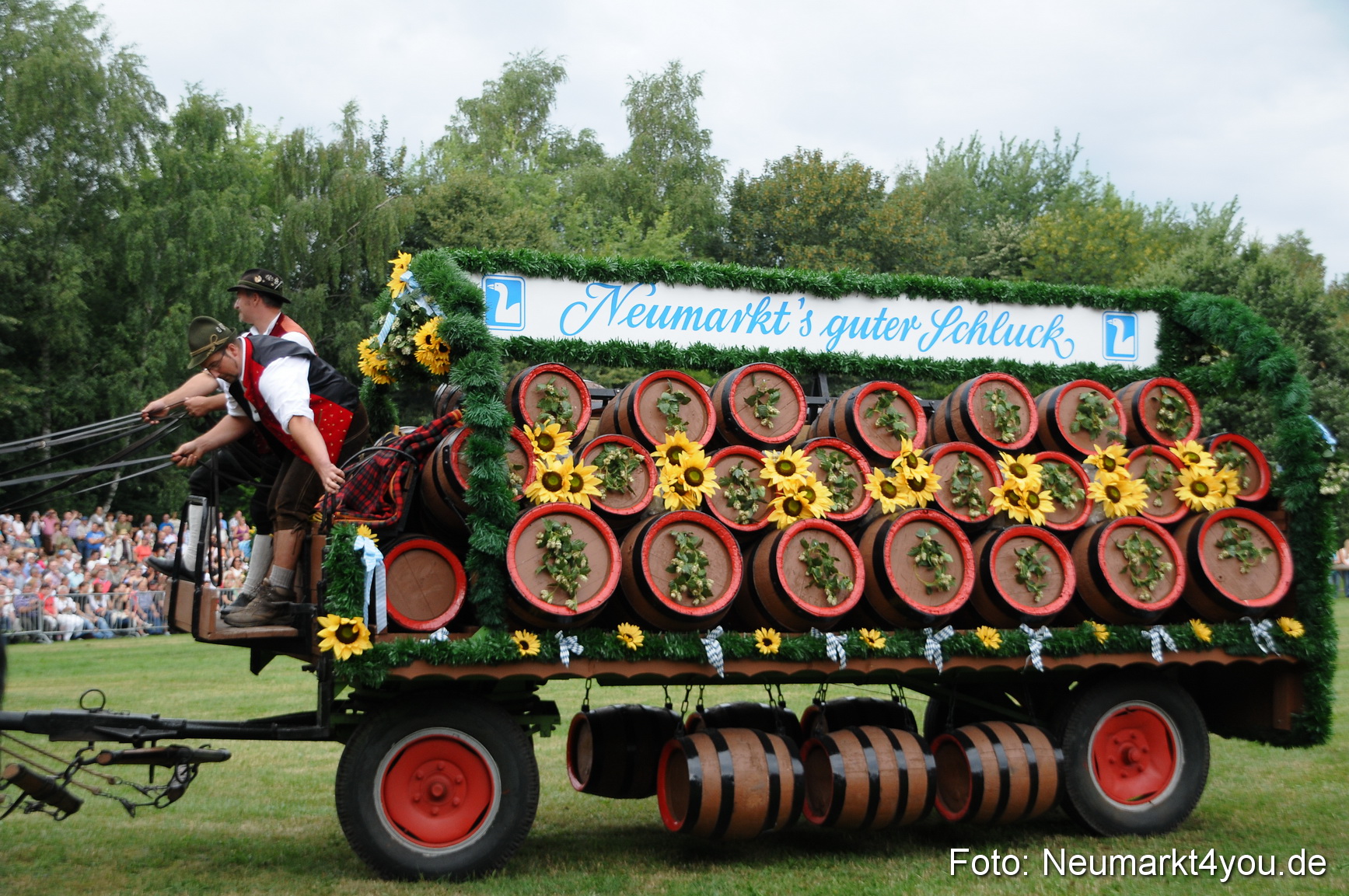 Pferde und Fohlenschau 190813 0011