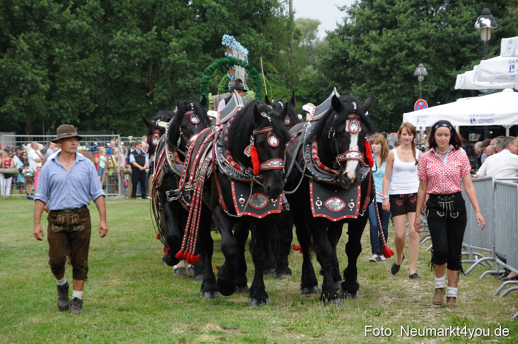 Pferde und Fohlenschau 190813 0012