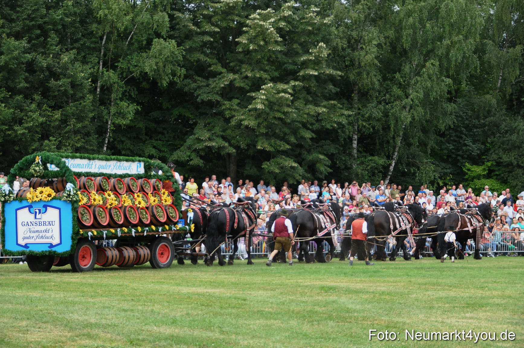 Pferde und Fohlenschau 190813 0013