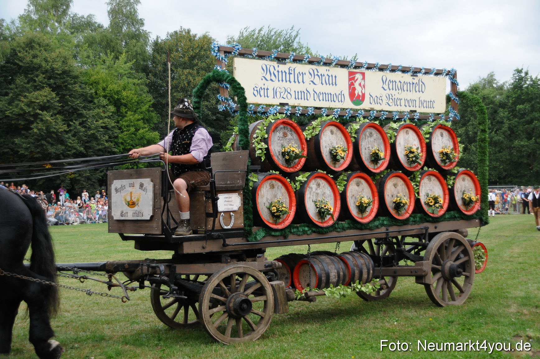 Pferde und Fohlenschau 190813 0014