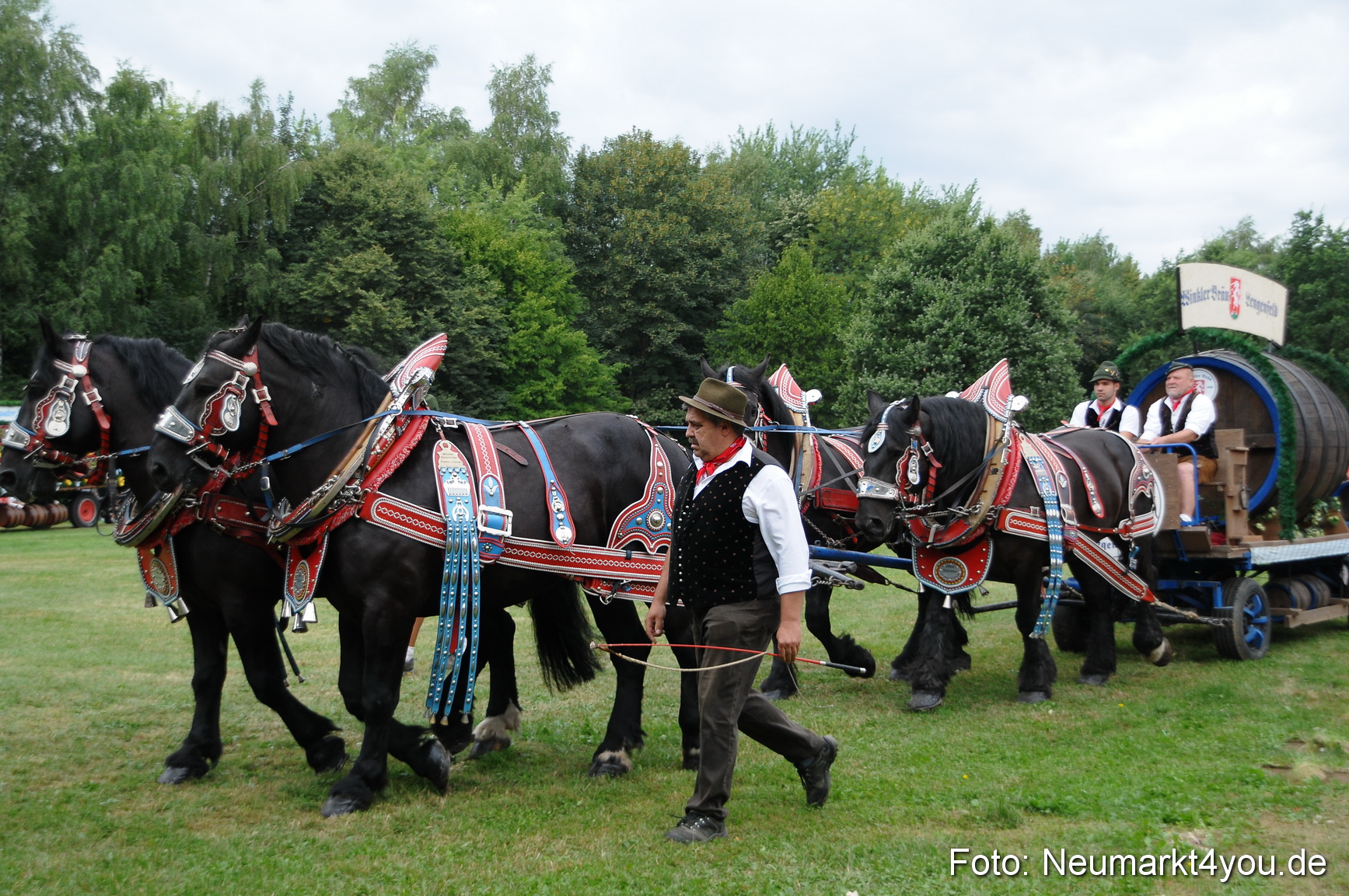 Pferde und Fohlenschau 190813 0015