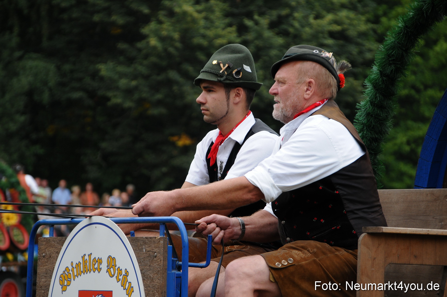 Pferde und Fohlenschau 190813 0016