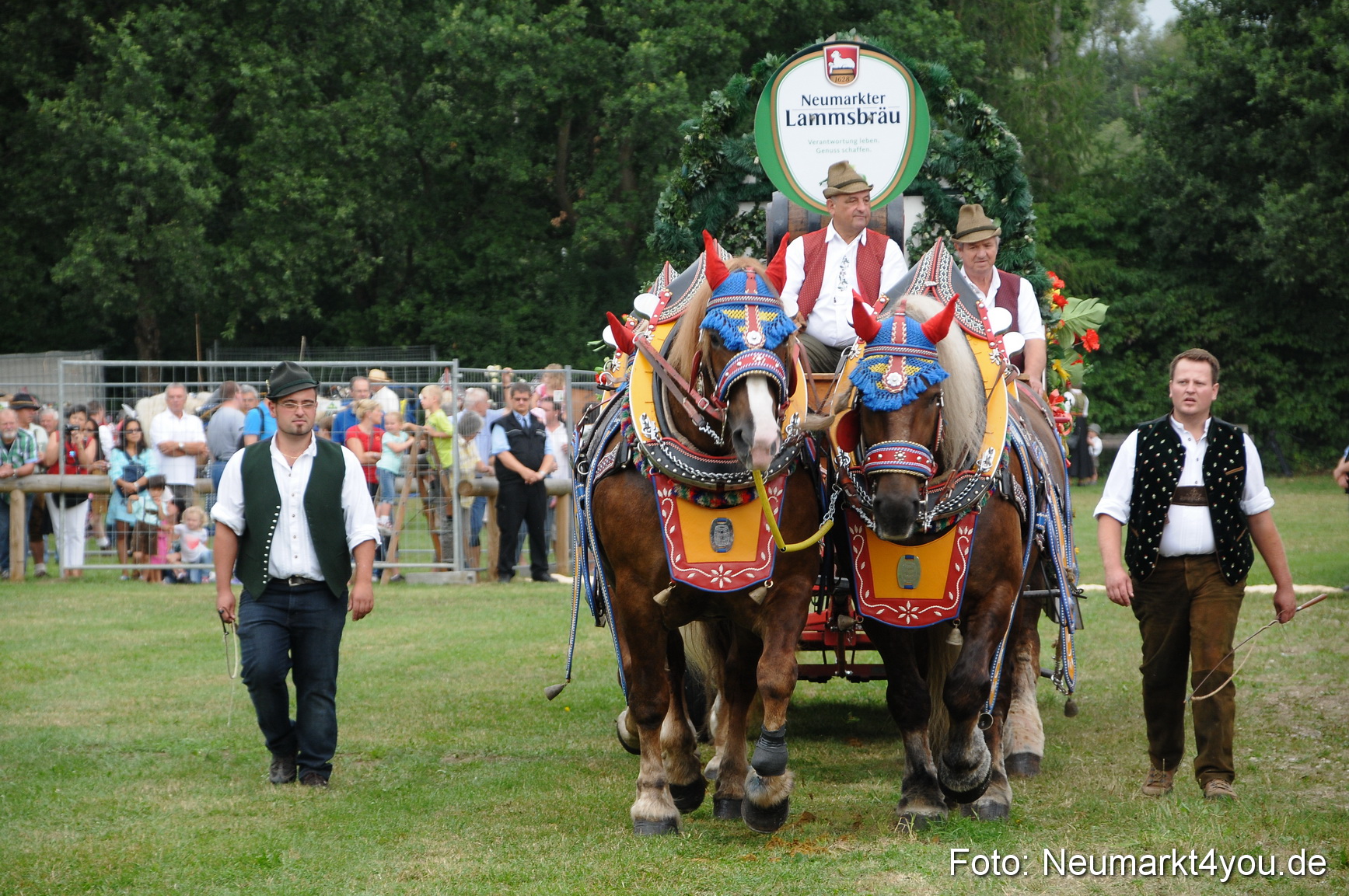 Pferde und Fohlenschau 190813 0017