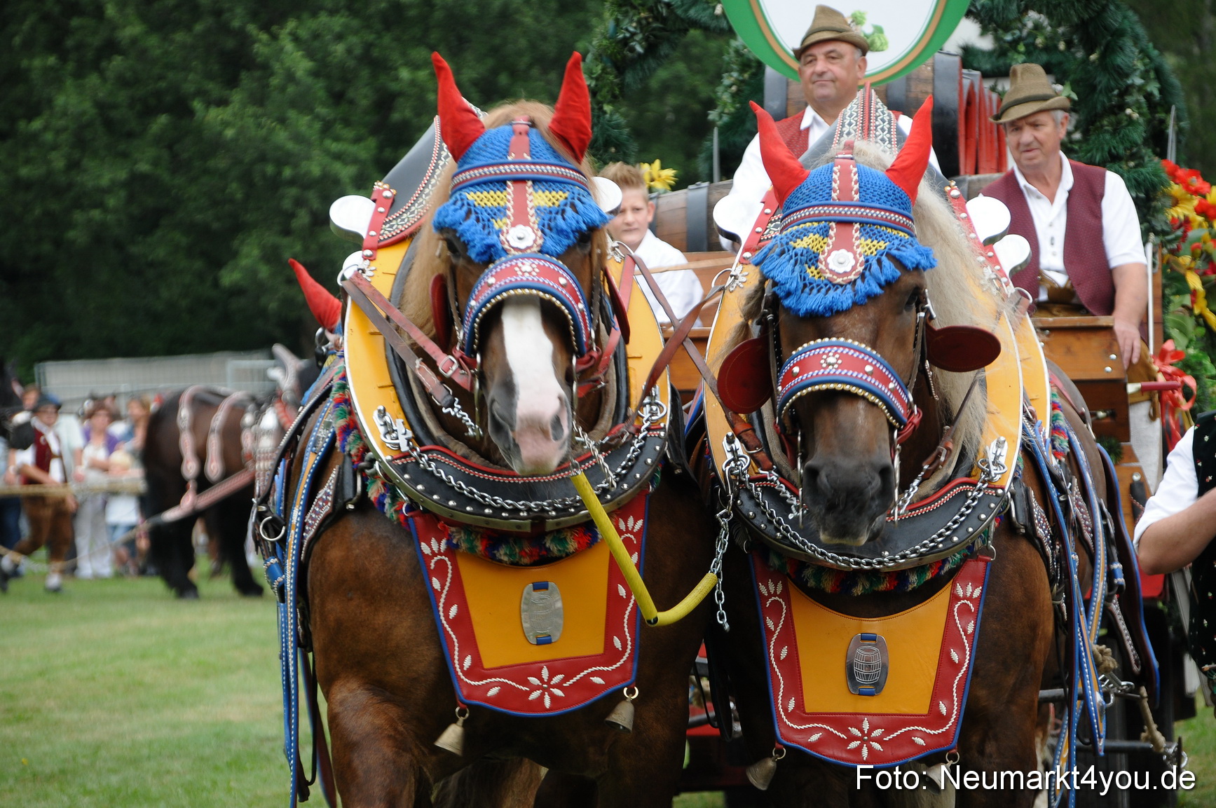 Pferde und Fohlenschau 190813 0018