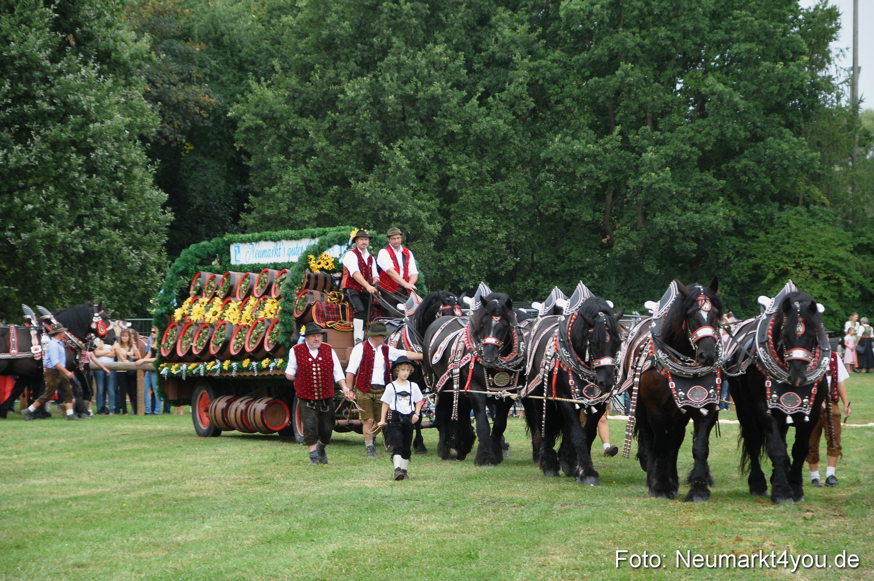 Pferde und Fohlenschau 190813 0021