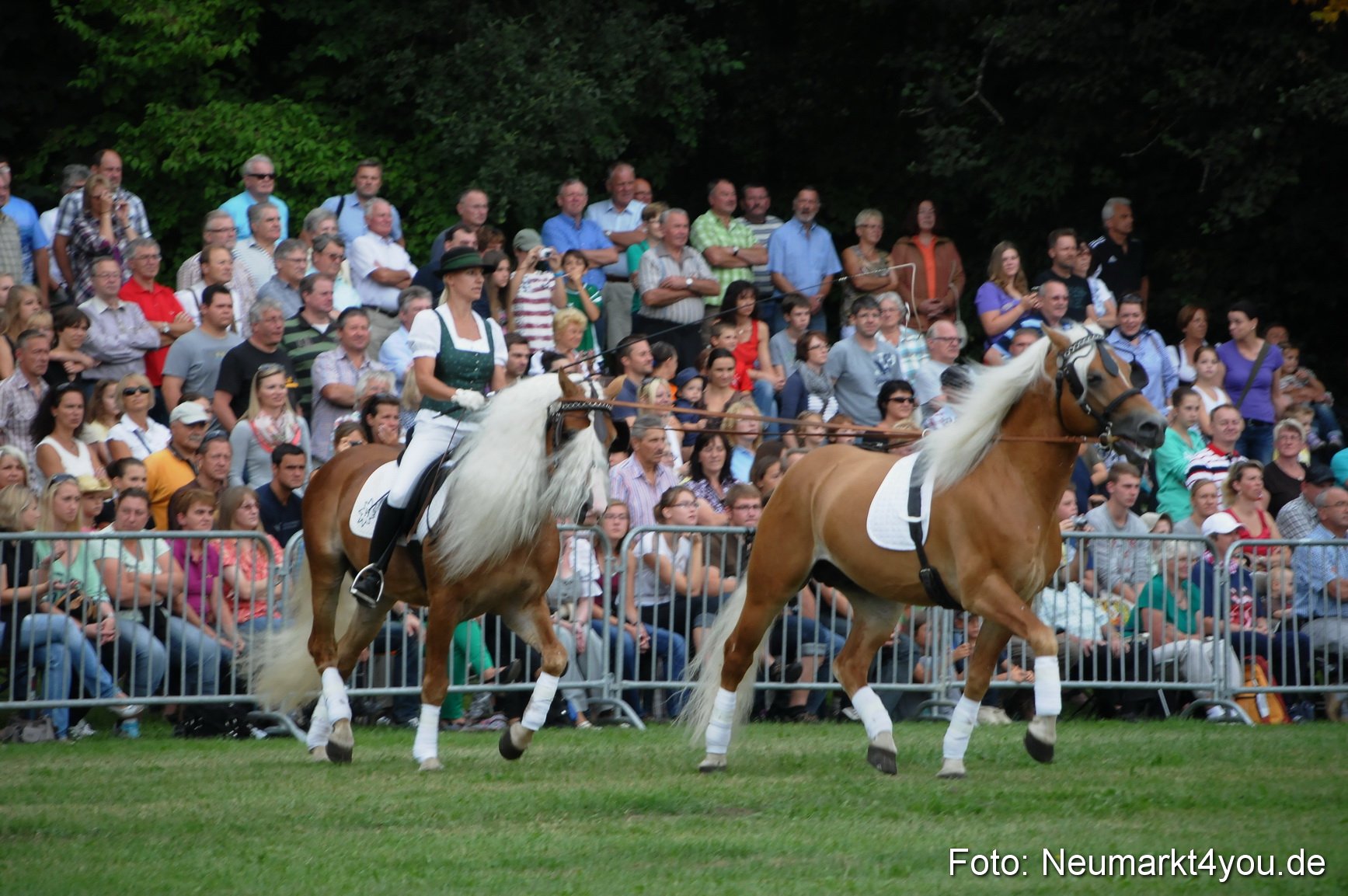 Pferde und Fohlenschau 190813 0032